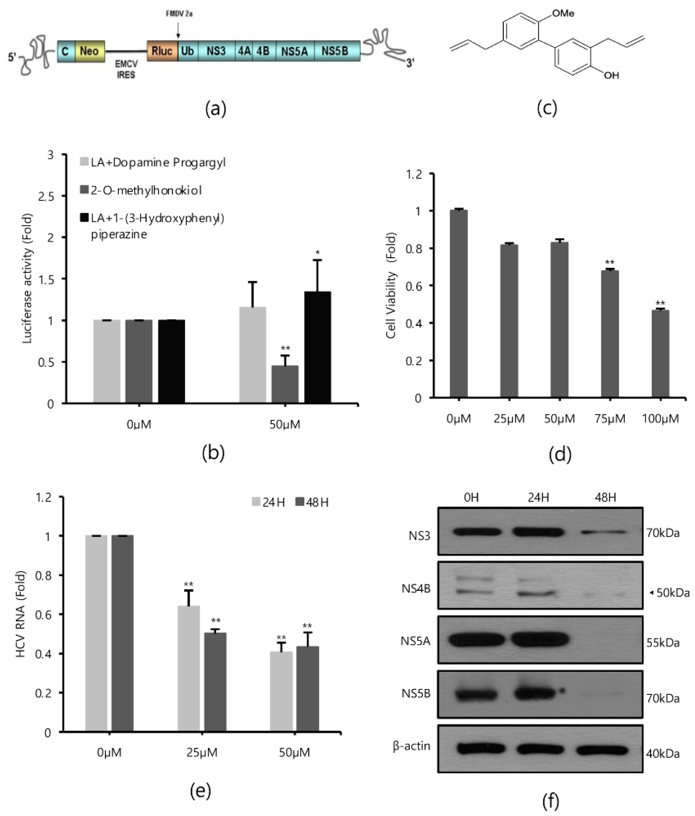 Ijms 22 06499 g001 Ijms 22 06499 g001