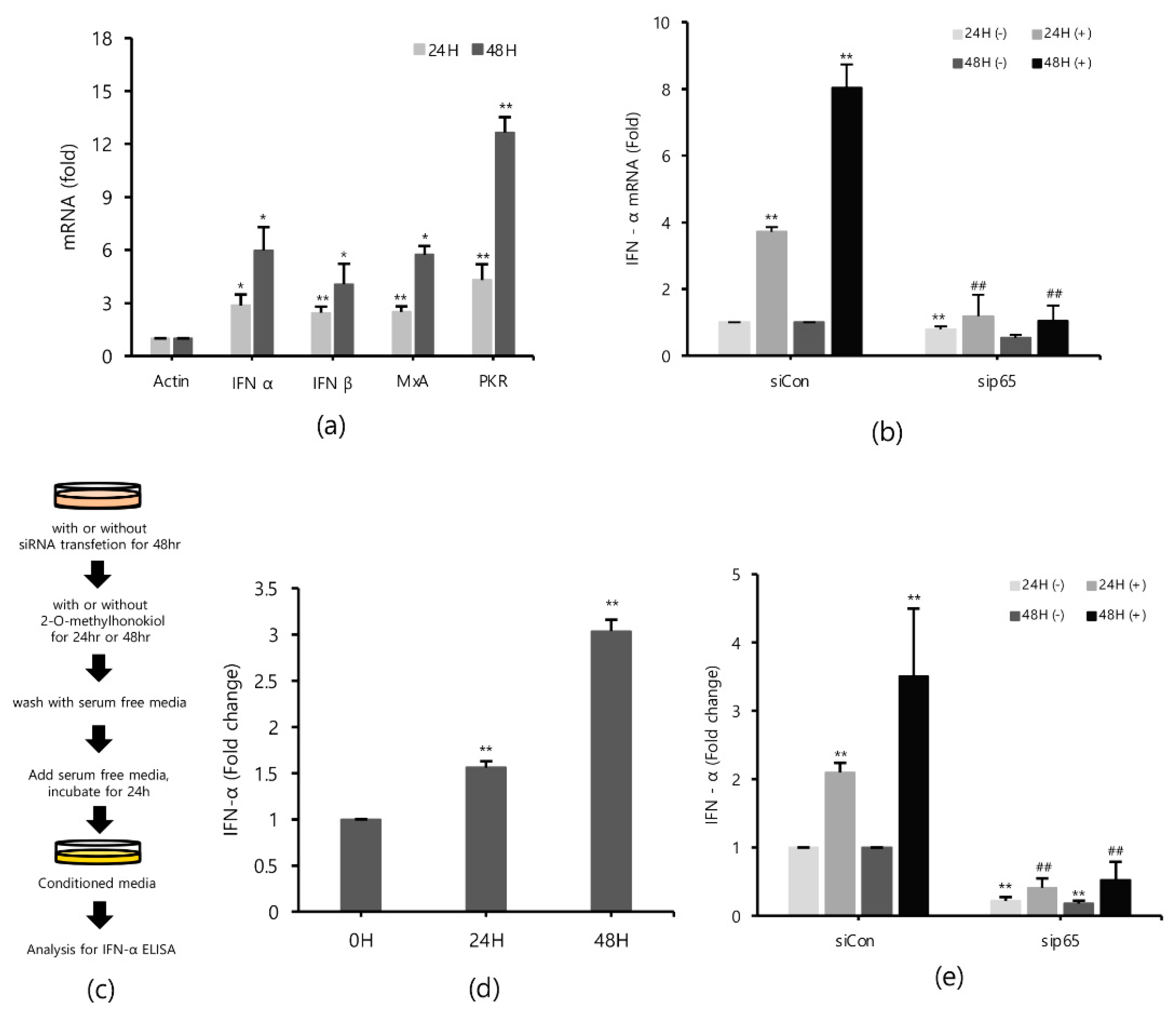 Ijms 22 06499 g005 Ijms 22 06499 g005