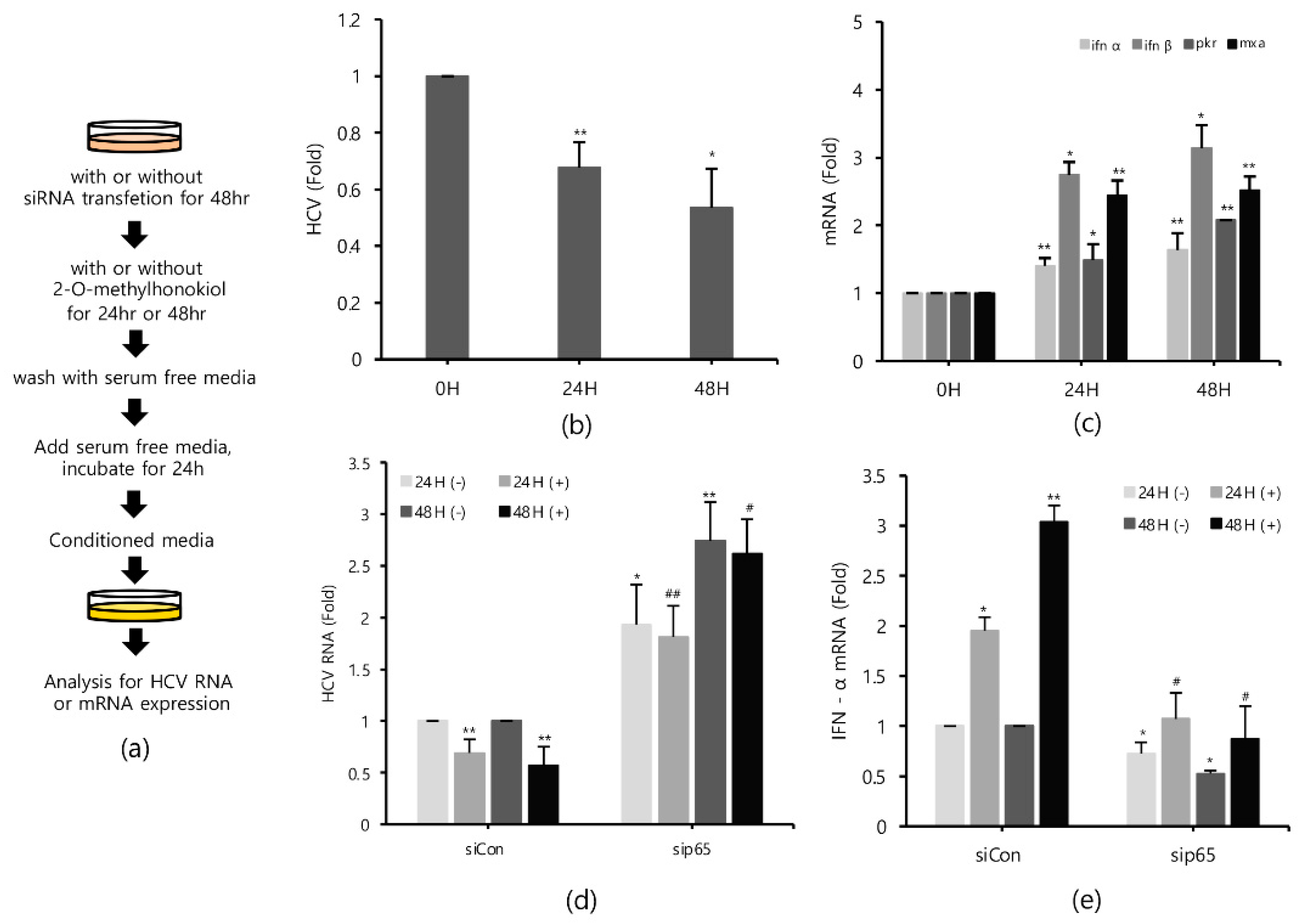 Ijms 22 06499 g006 Ijms 22 06499 g006