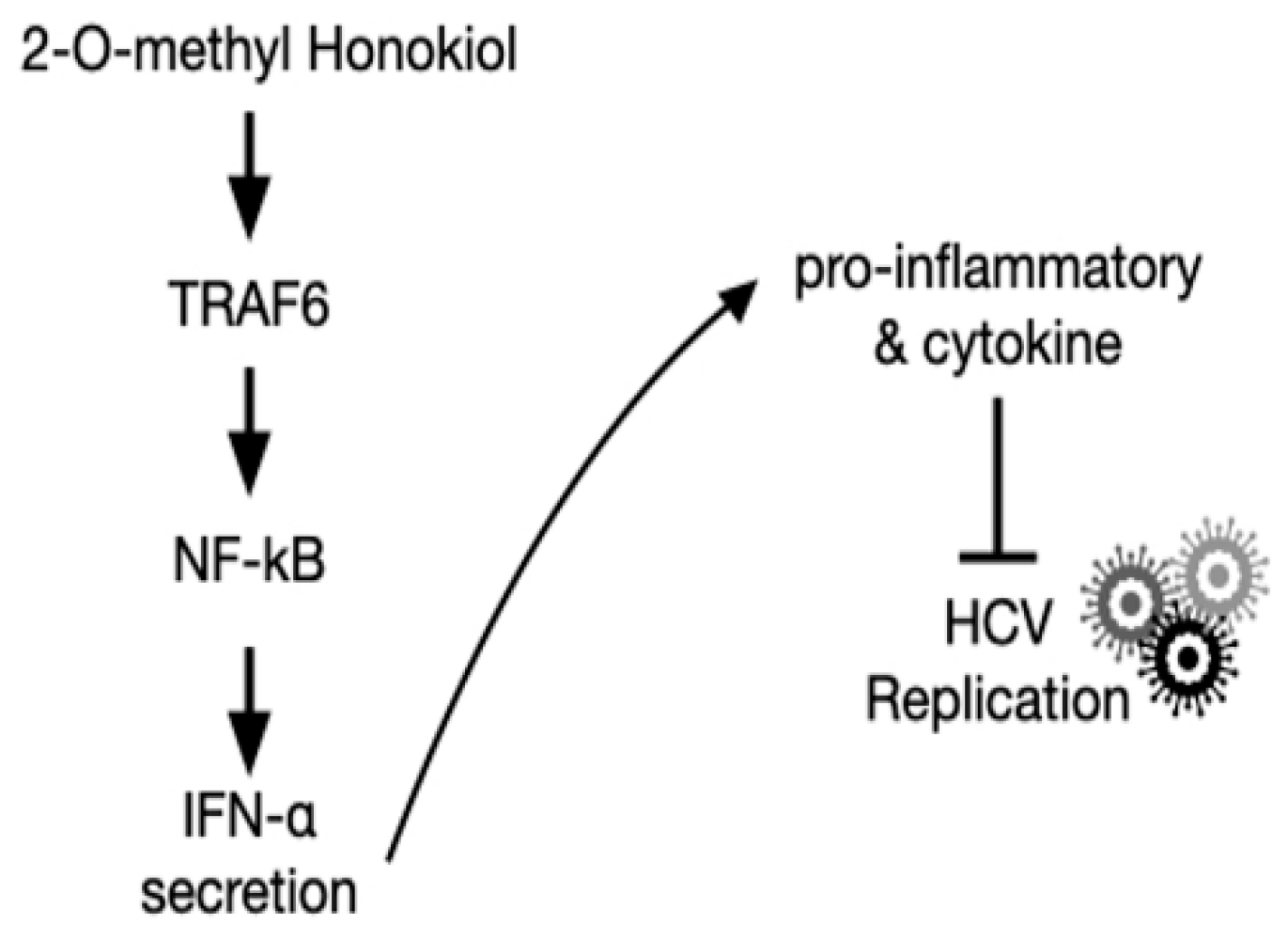 Ijms 22 06499 g007 Ijms 22 06499 g007