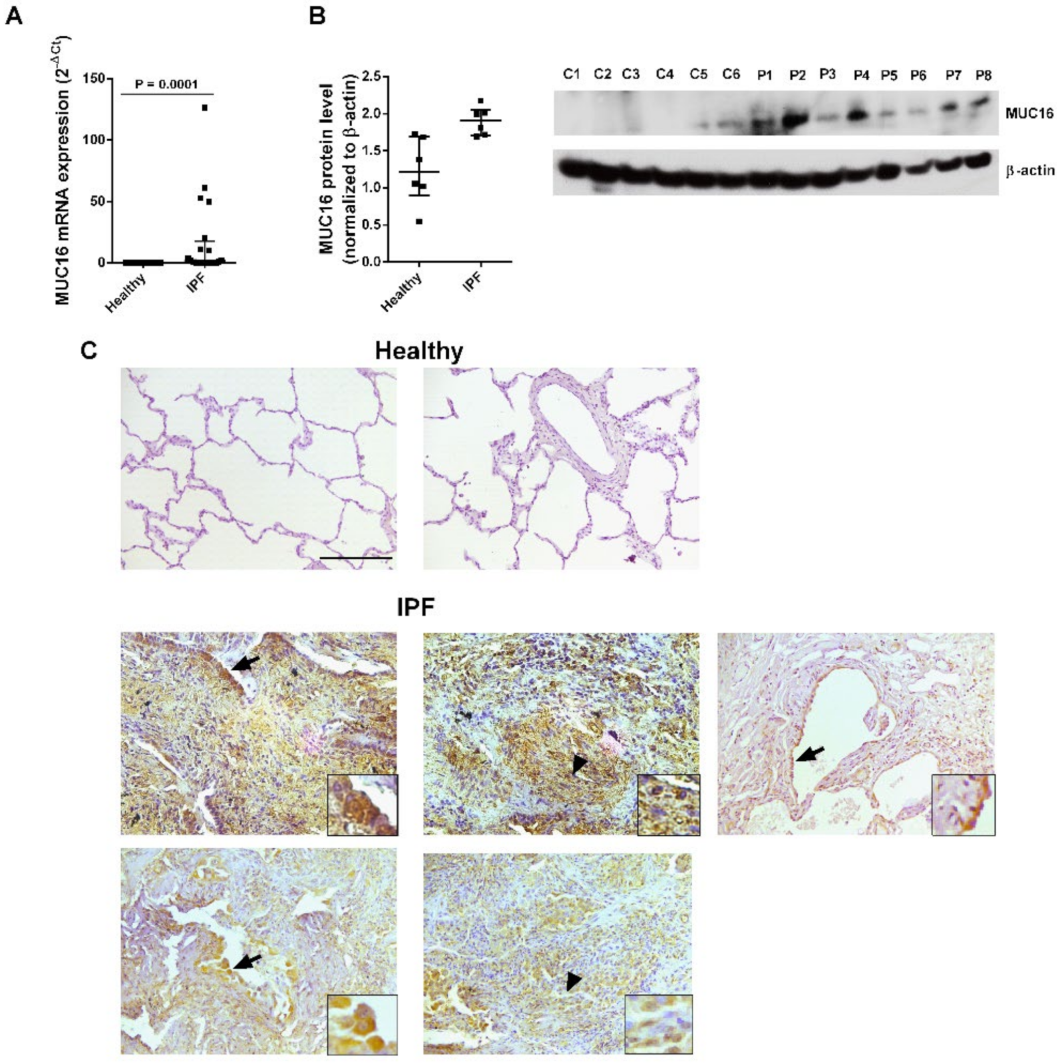 Ijms 22 06502 g001 Ijms 22 06502 g001