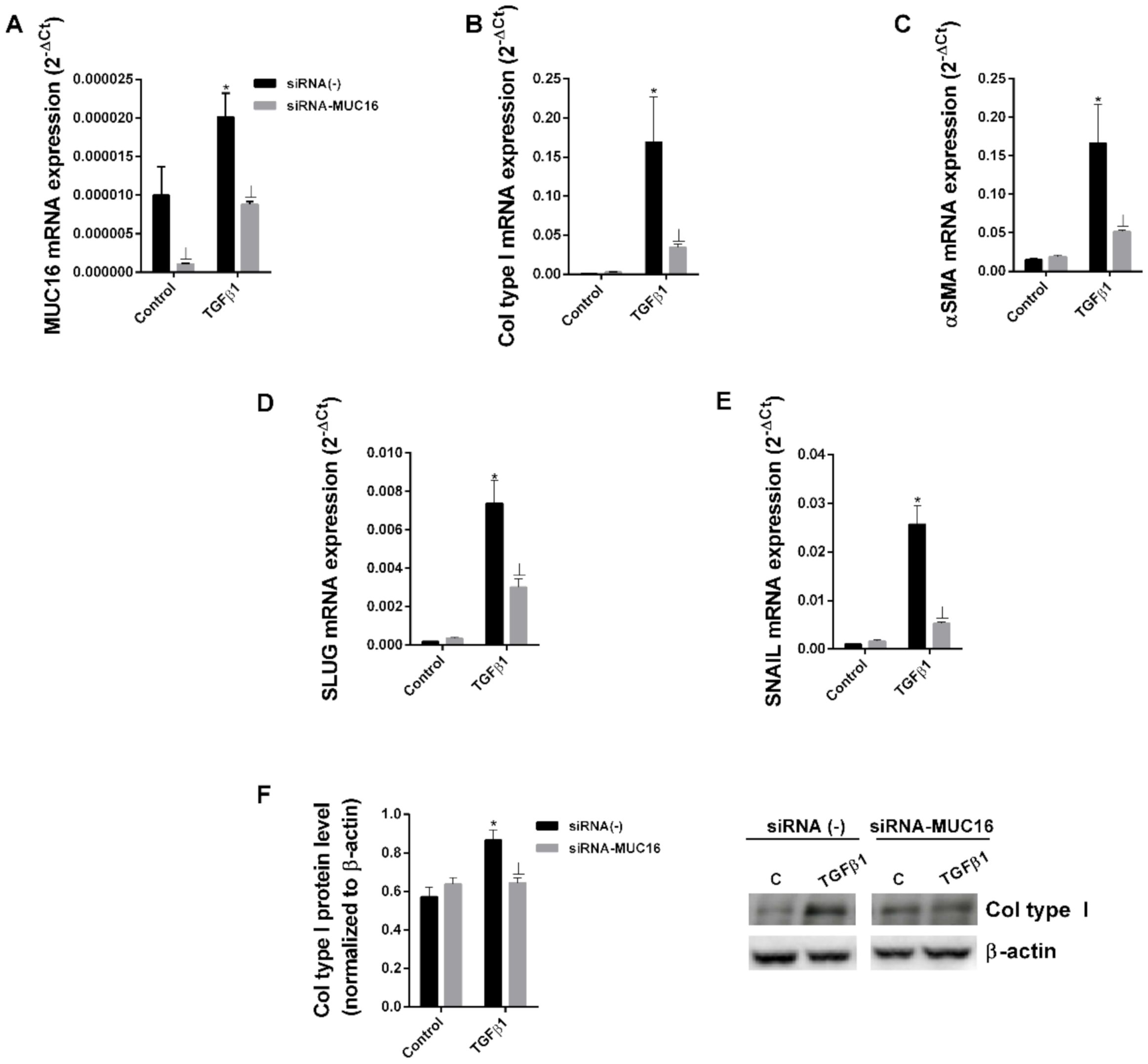 Ijms 22 06502 g002 Ijms 22 06502 g002