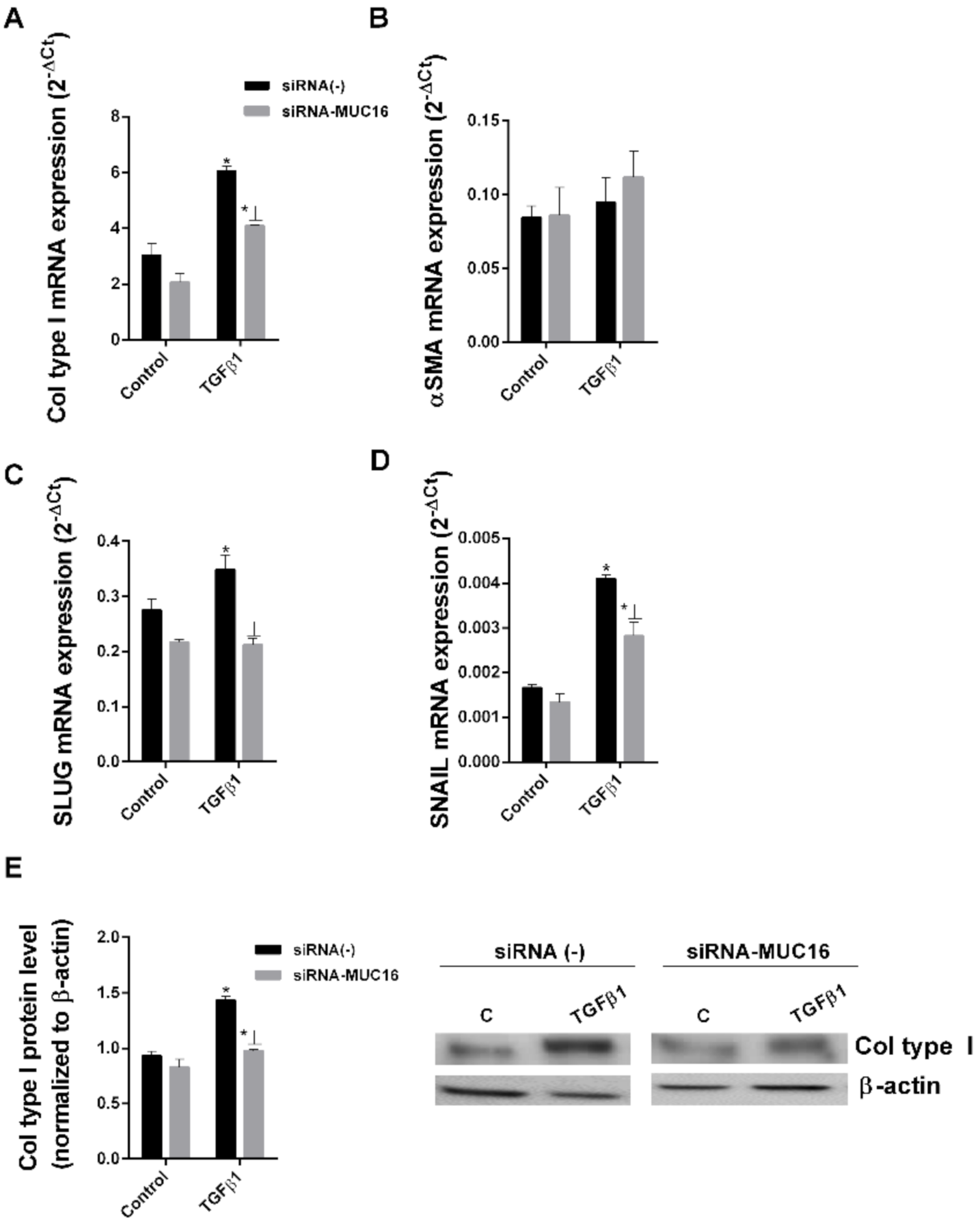 Ijms 22 06502 g003 Ijms 22 06502 g003