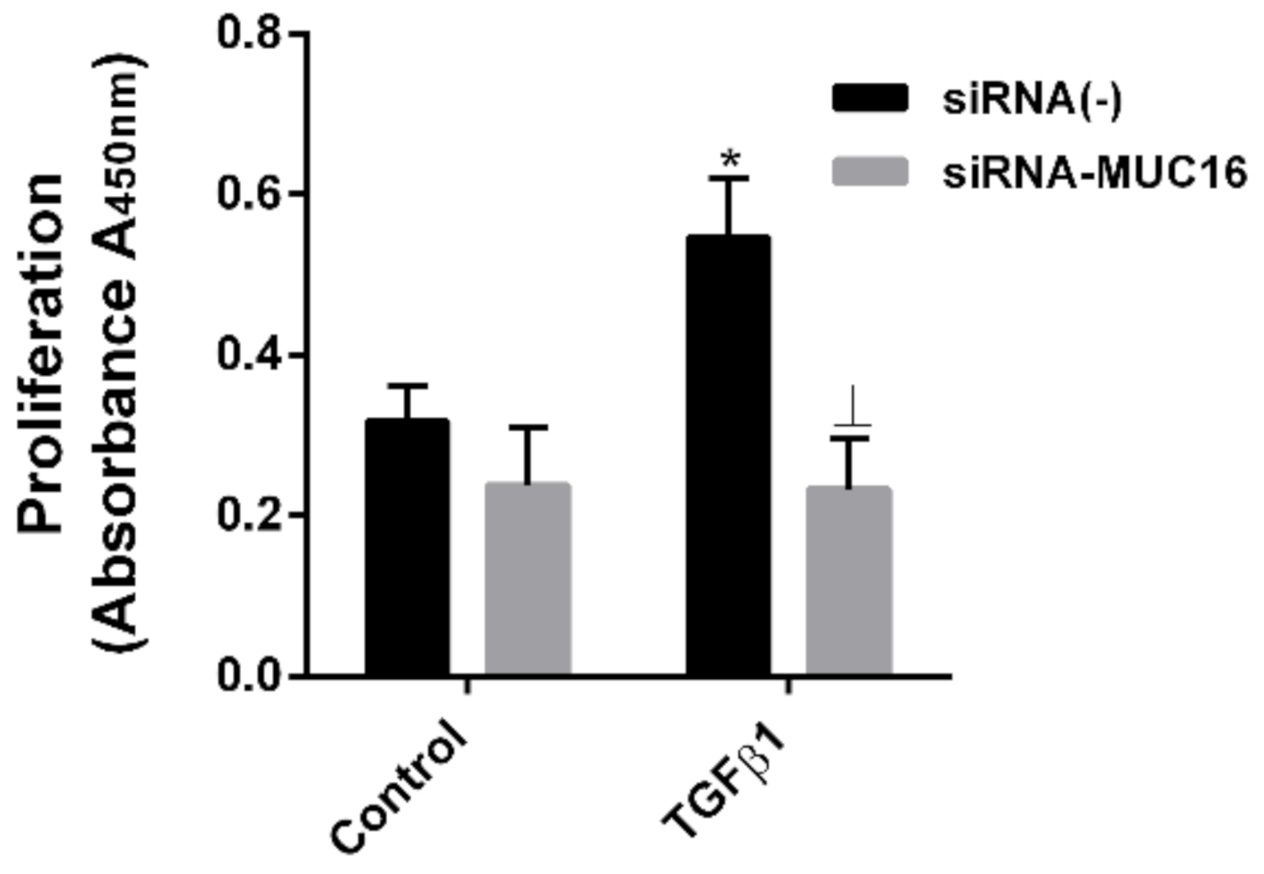 Ijms 22 06502 g004 Ijms 22 06502 g004