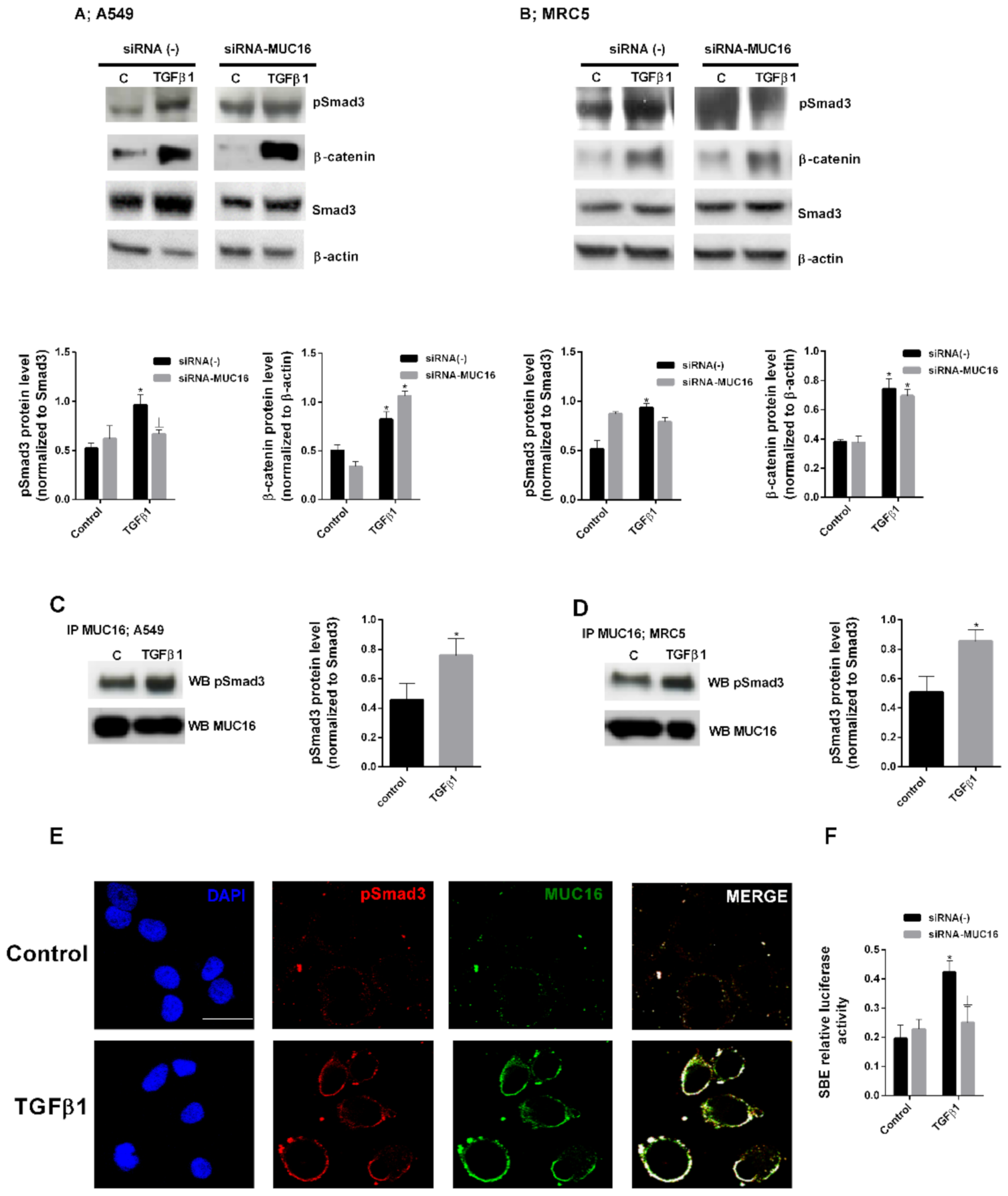 Ijms 22 06502 g005 Ijms 22 06502 g005