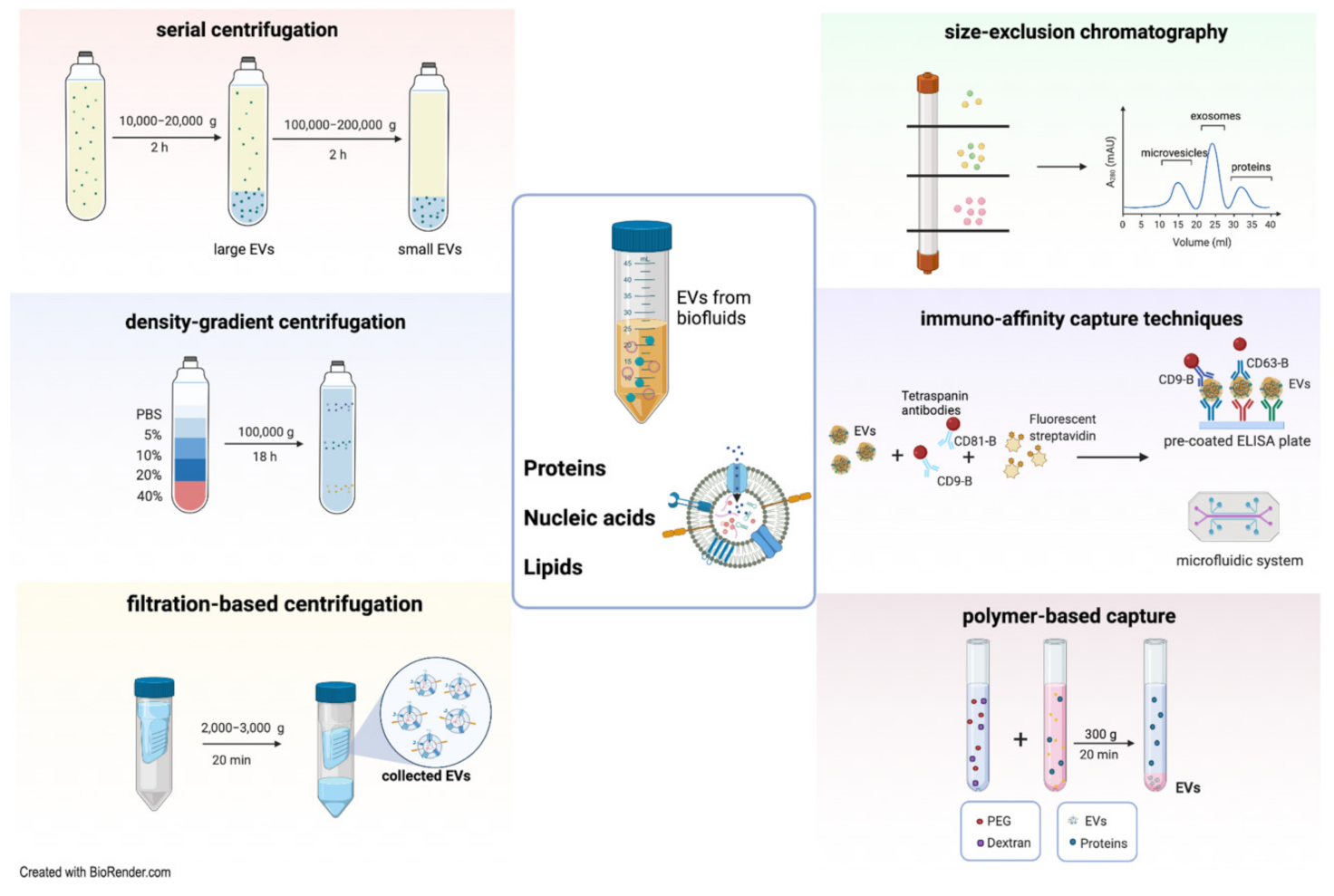 Ijms 22 06507 g001 Ijms 22 06507 g001