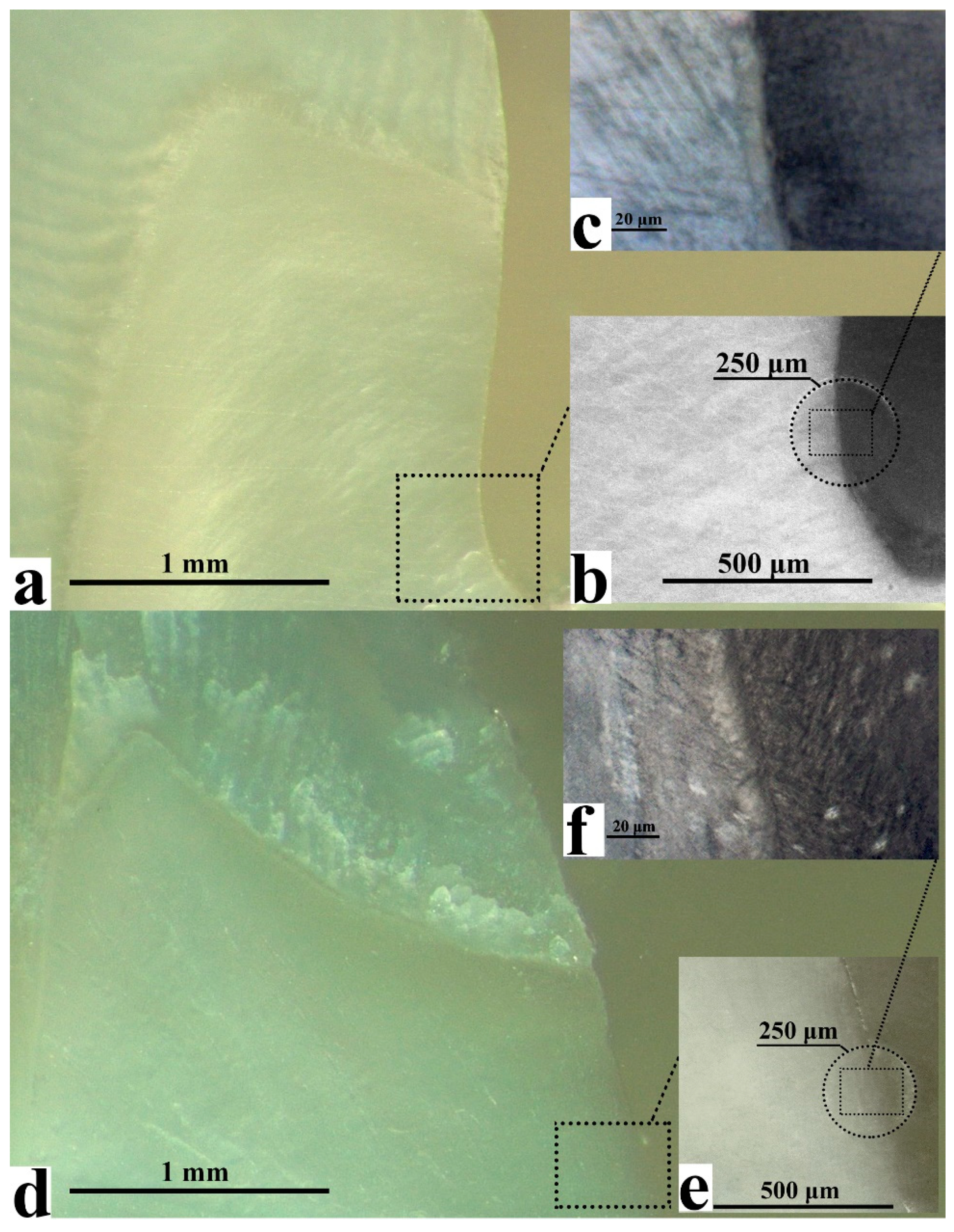 Ijms 22 06510 g001