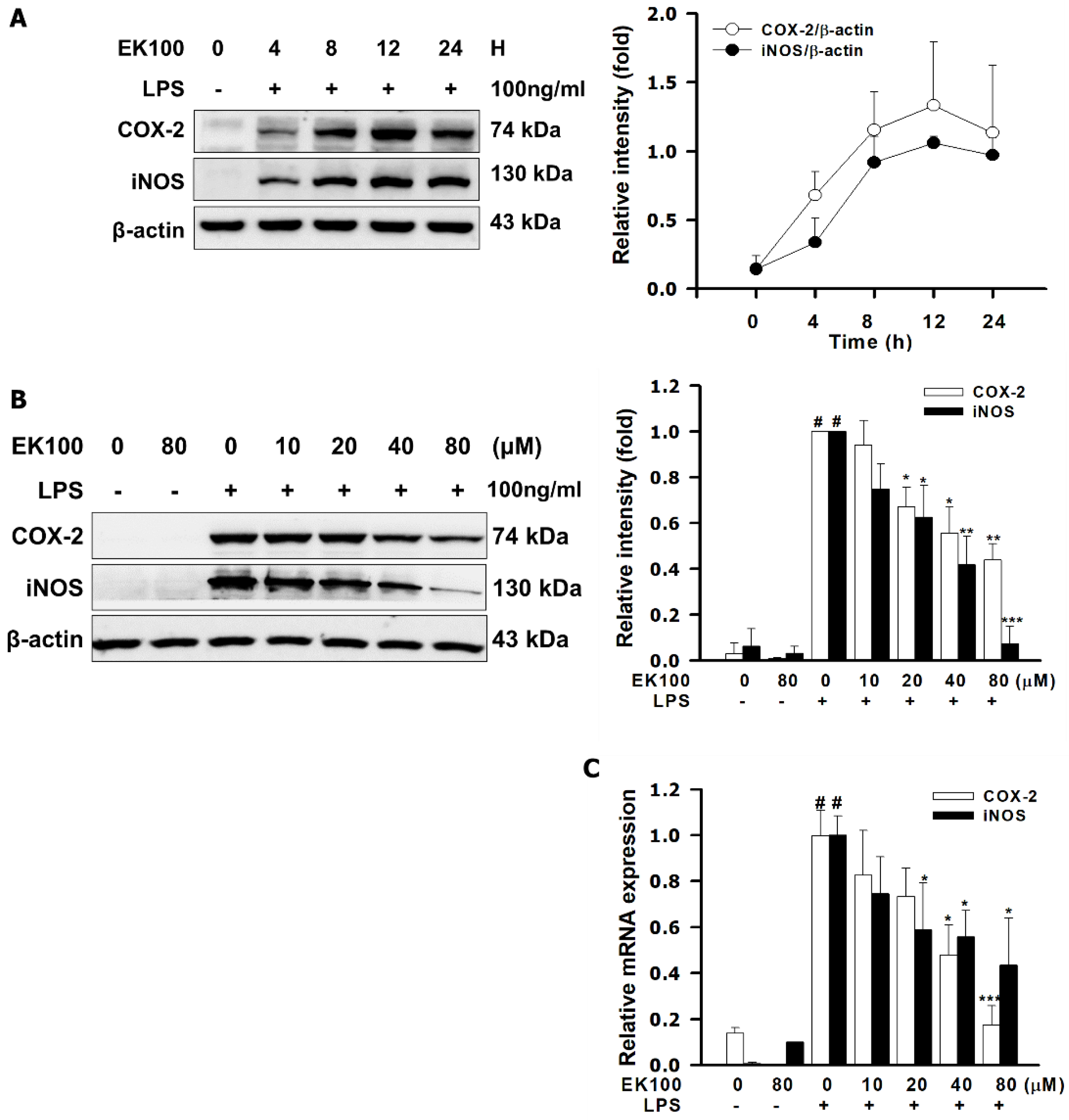 Ijms 22 06511 g002 Ijms 22 06511 g002