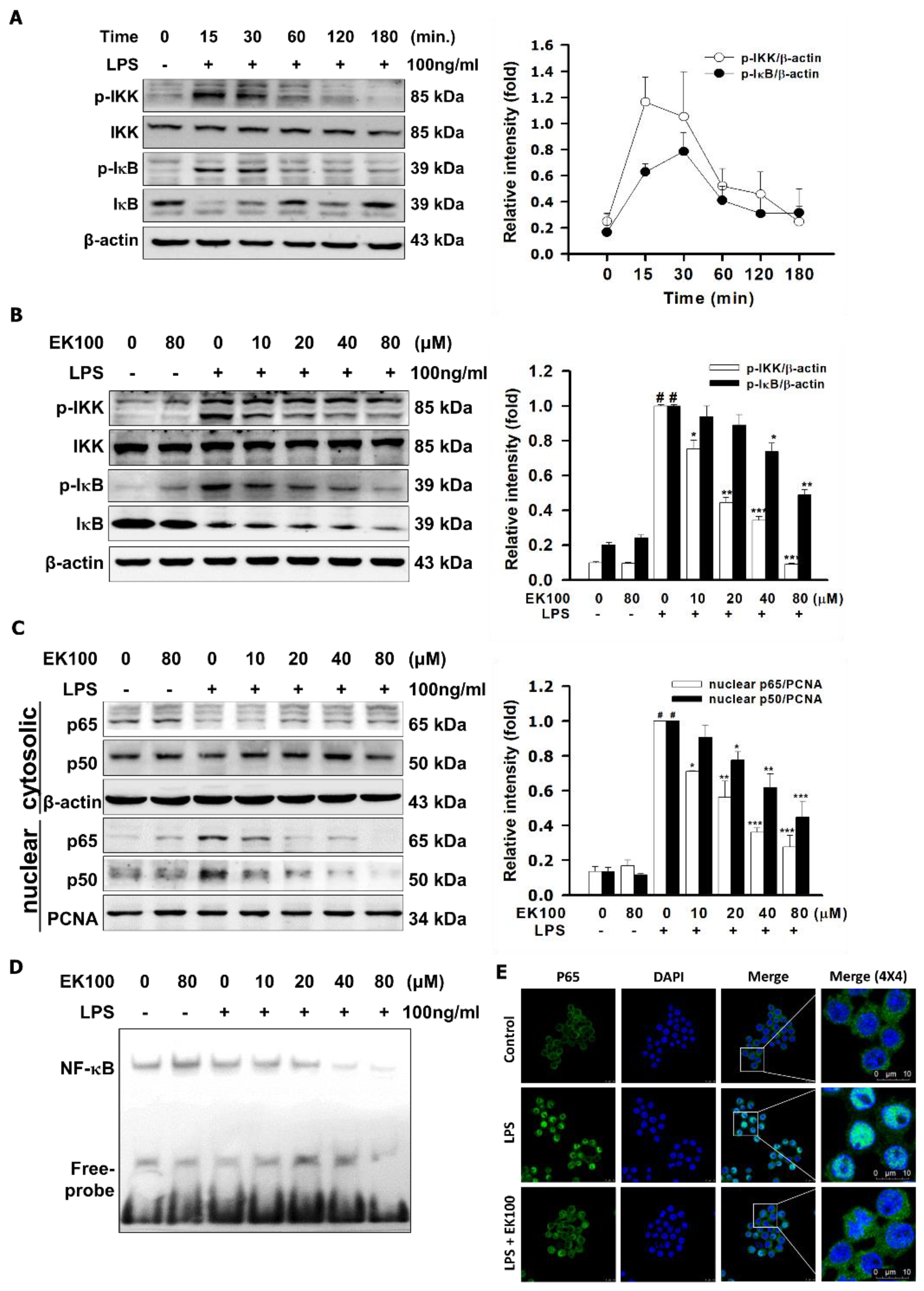 Ijms 22 06511 g003 Ijms 22 06511 g003