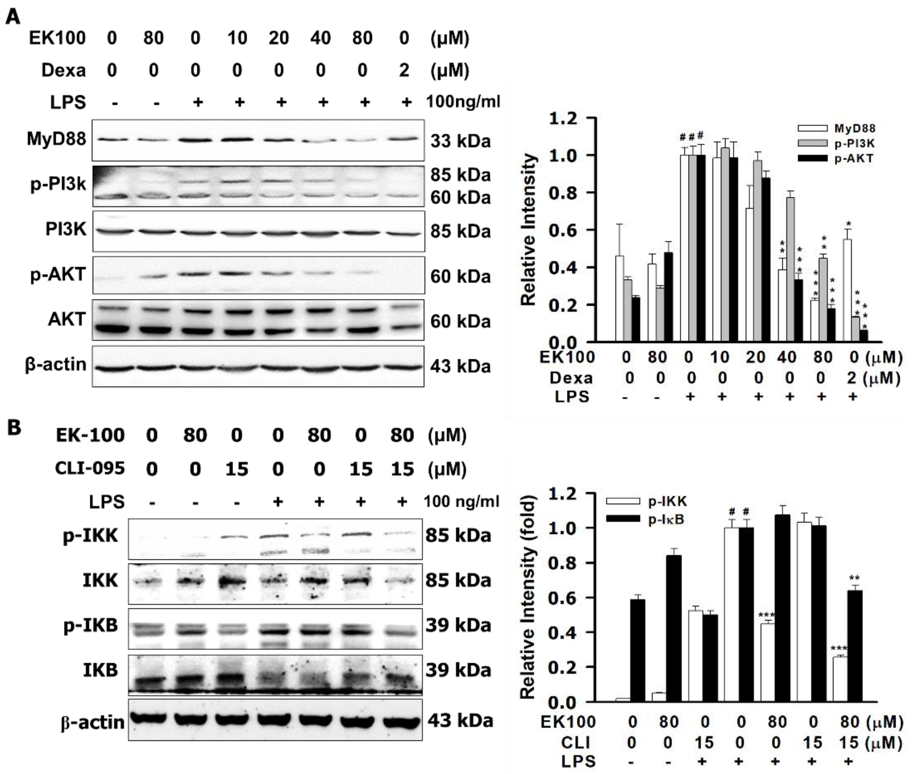 Ijms 22 06511 g004a Ijms 22 06511 g004a