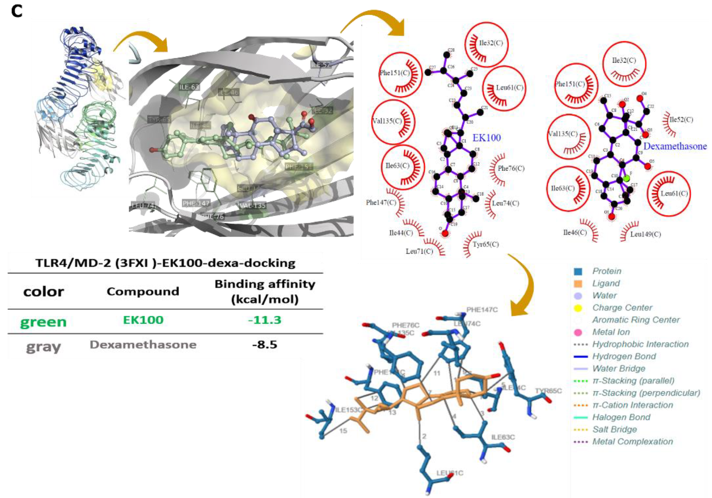 Ijms 22 06511 g006b Ijms 22 06511 g006b