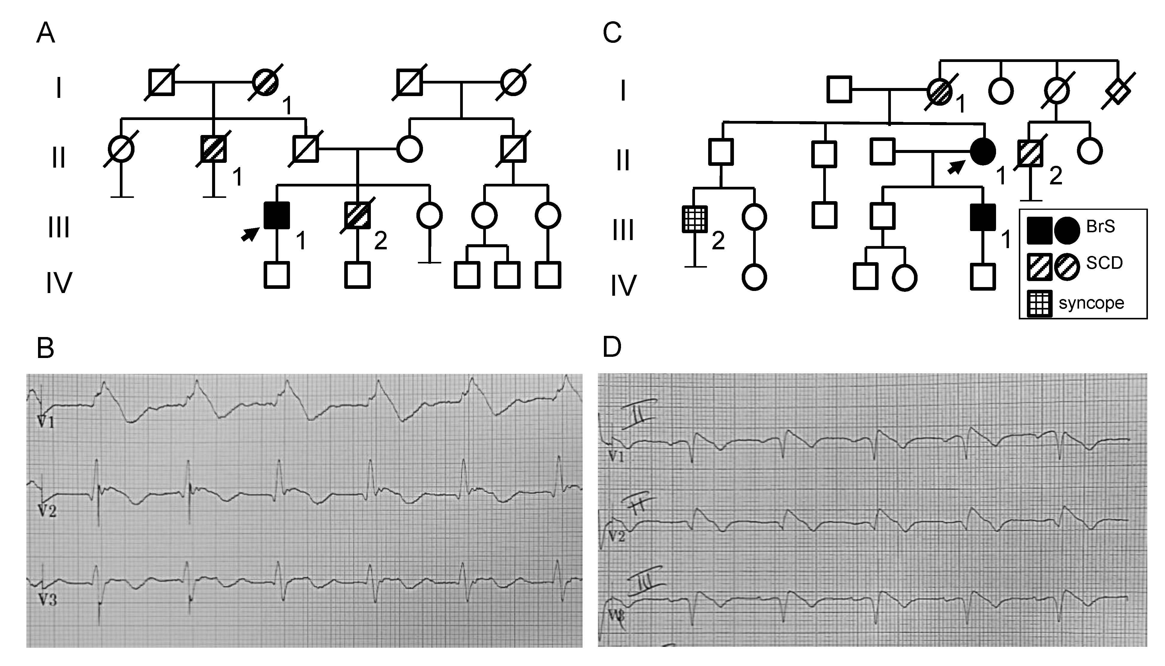 Ijms 22 06513 g001 Ijms 22 06513 g001