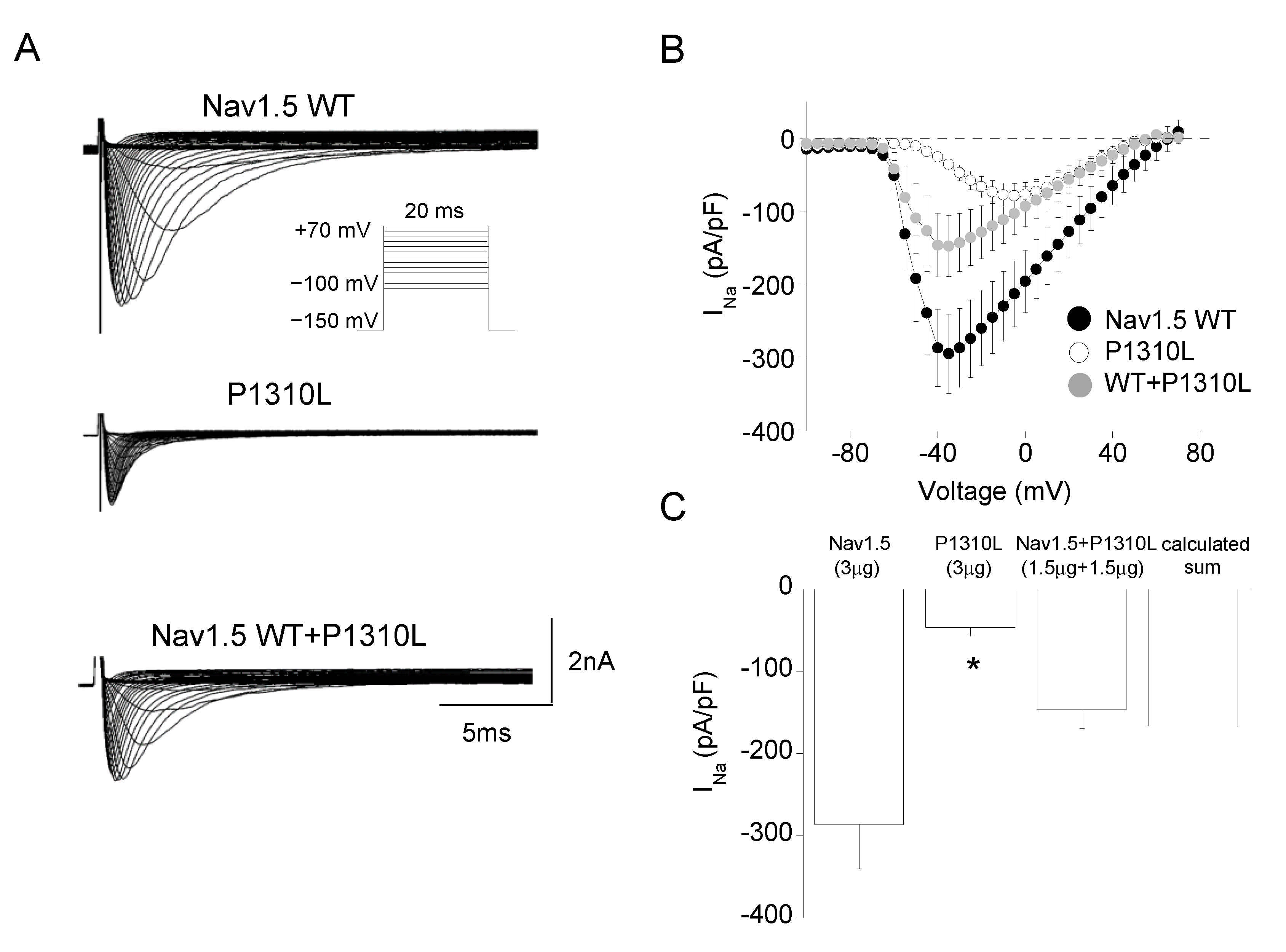Ijms 22 06513 g003 Ijms 22 06513 g003