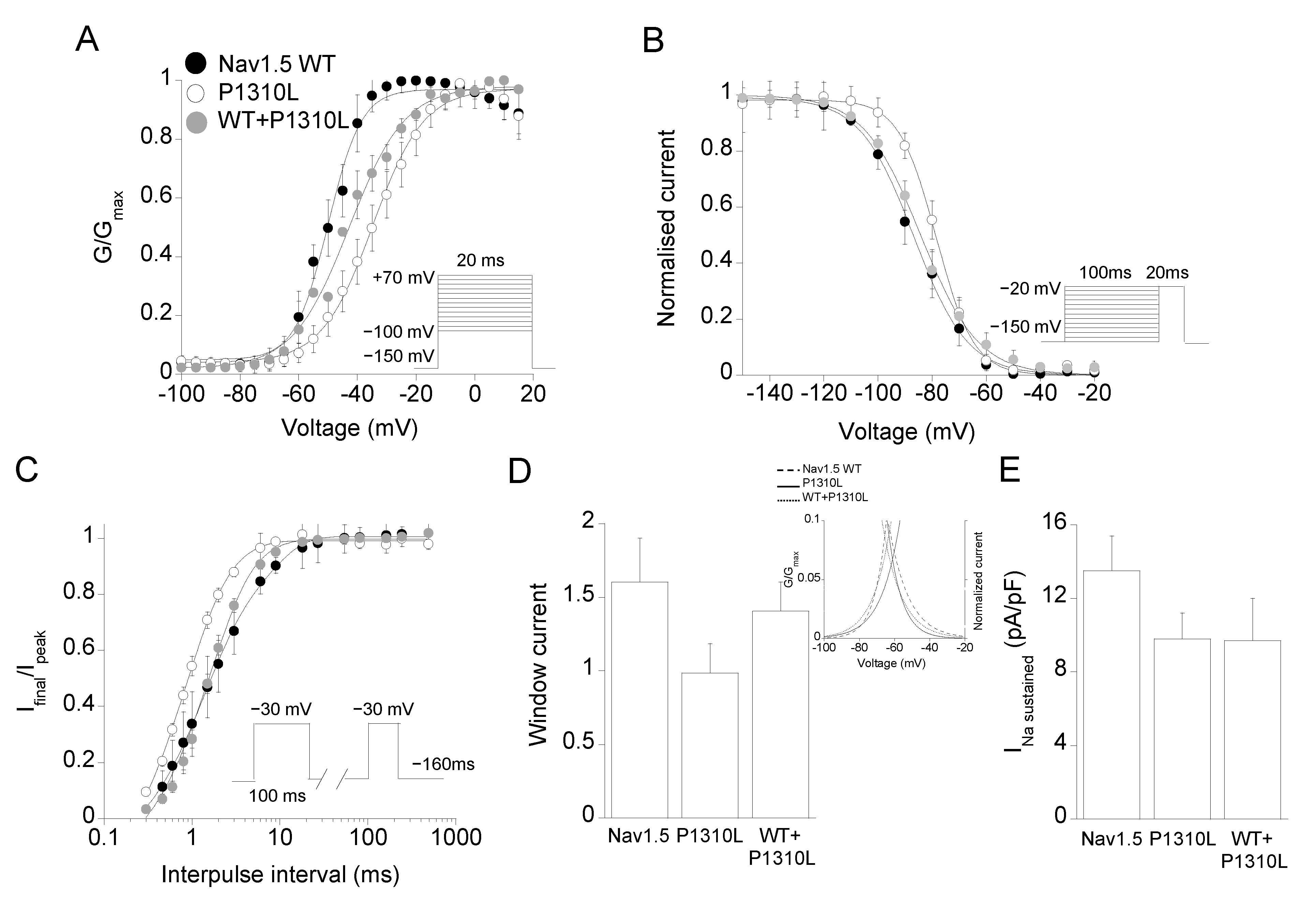 Ijms 22 06513 g004 Ijms 22 06513 g004