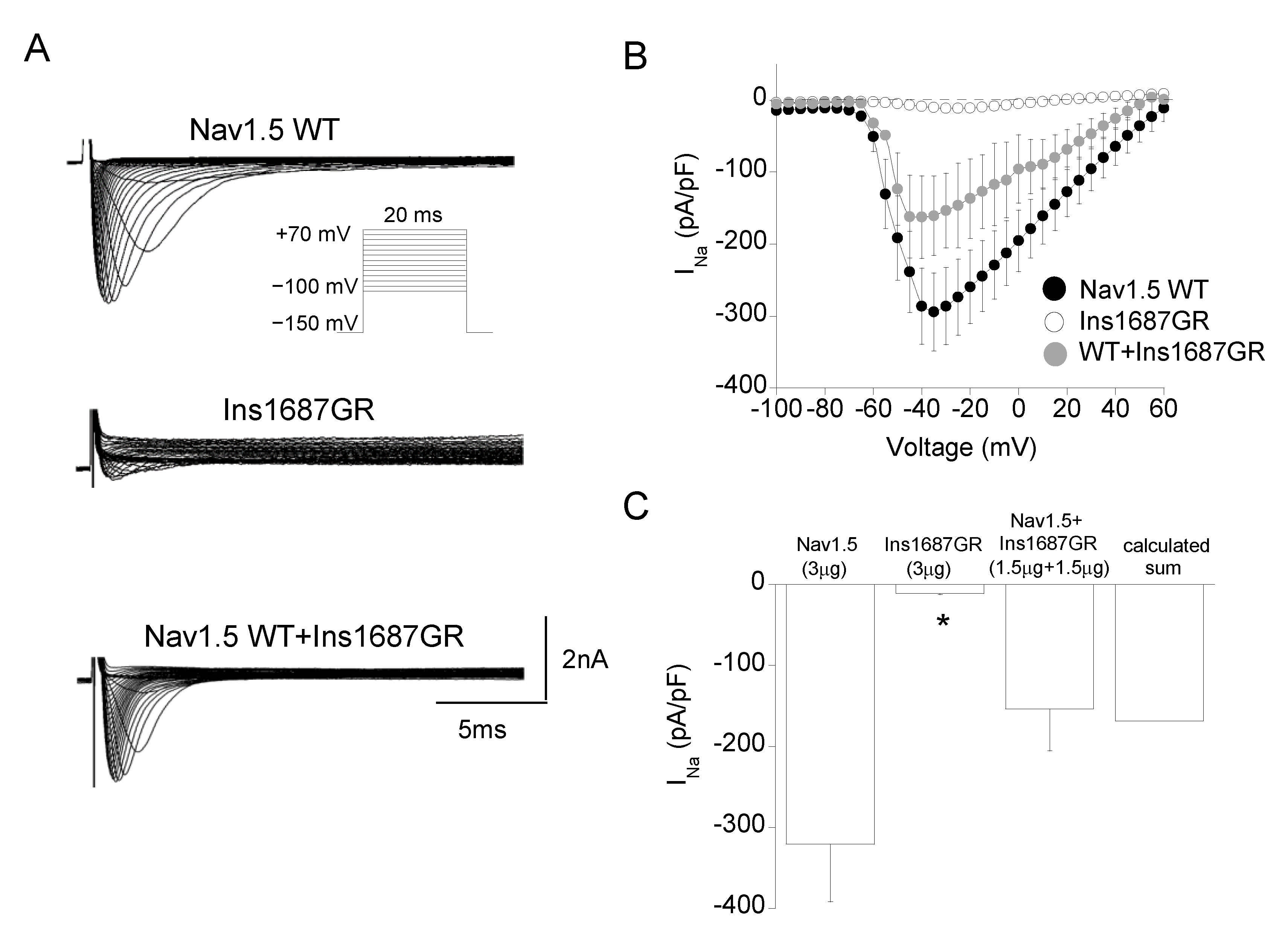 Ijms 22 06513 g005 Ijms 22 06513 g005