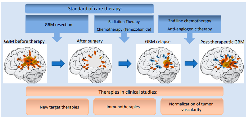 Ijms 22 06514 g002 Ijms 22 06514 g002