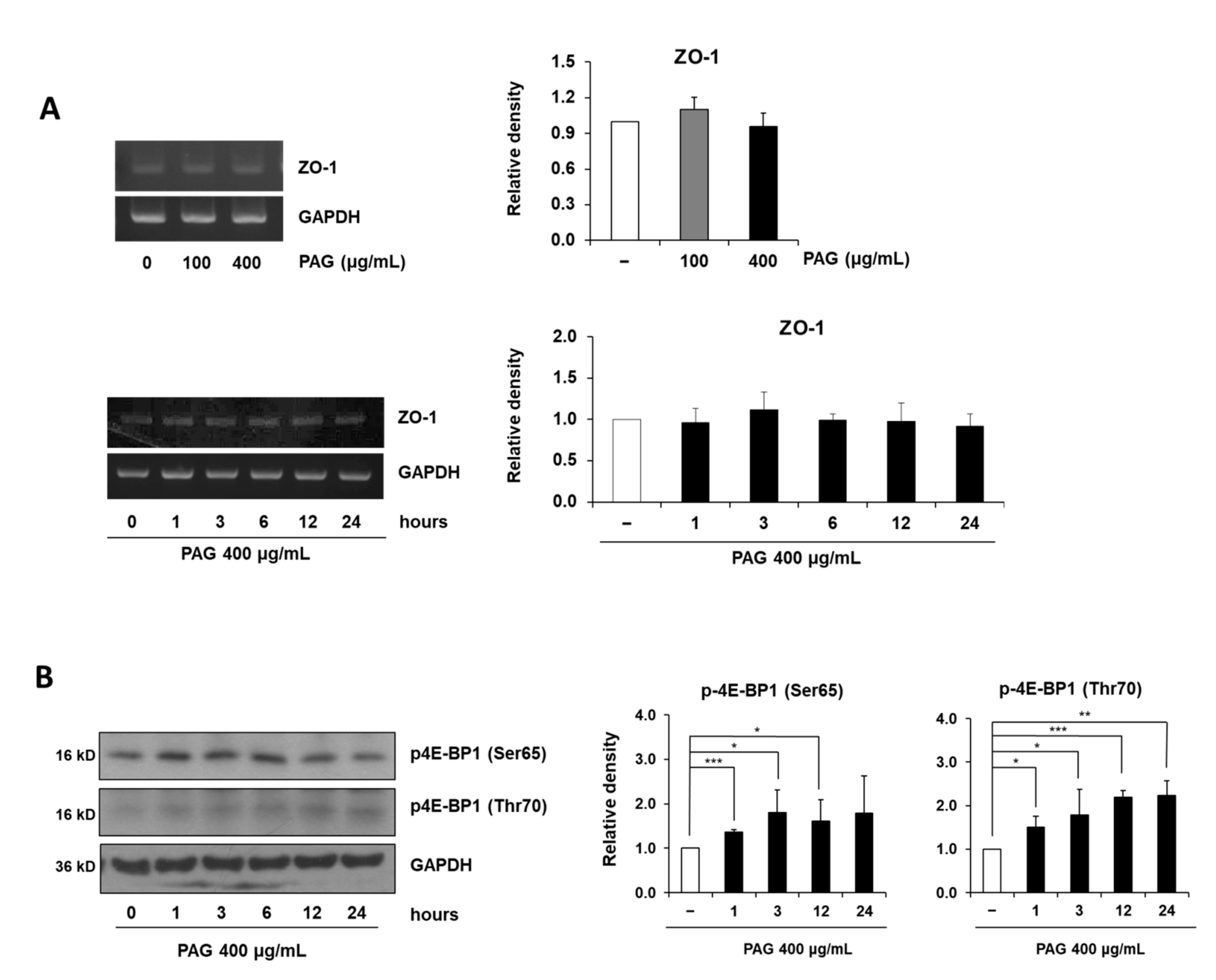 Ijms 22 06515 g003 Ijms 22 06515 g003