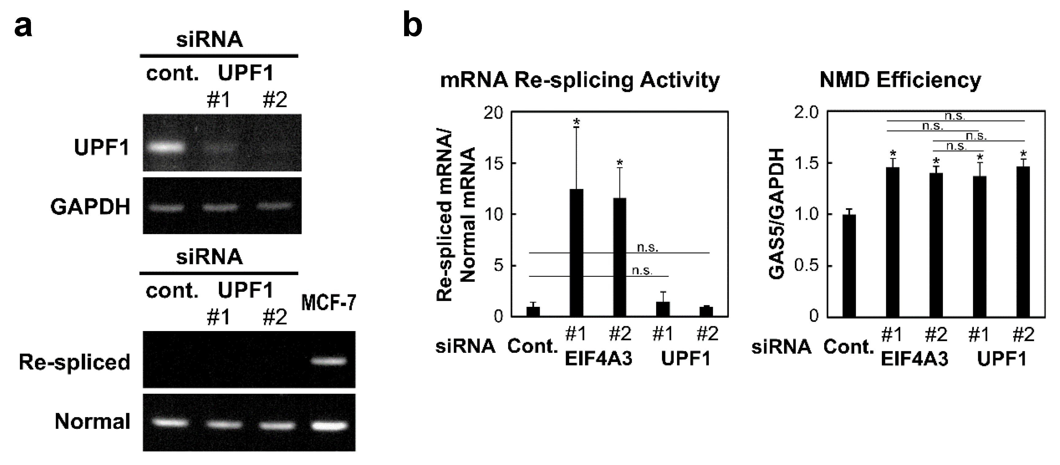 Ijms 22 06519 g003 Ijms 22 06519 g003