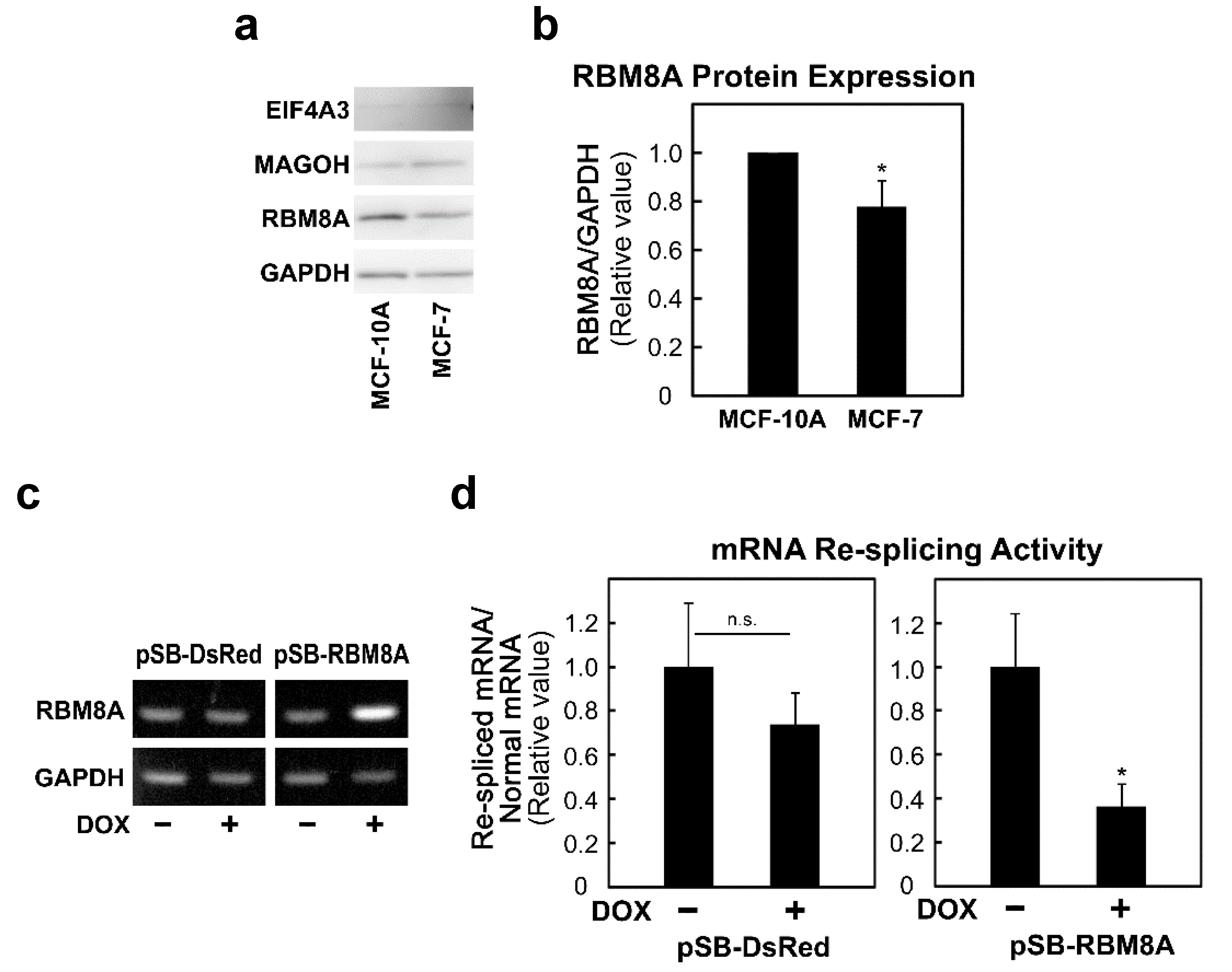 Ijms 22 06519 g005 Ijms 22 06519 g005