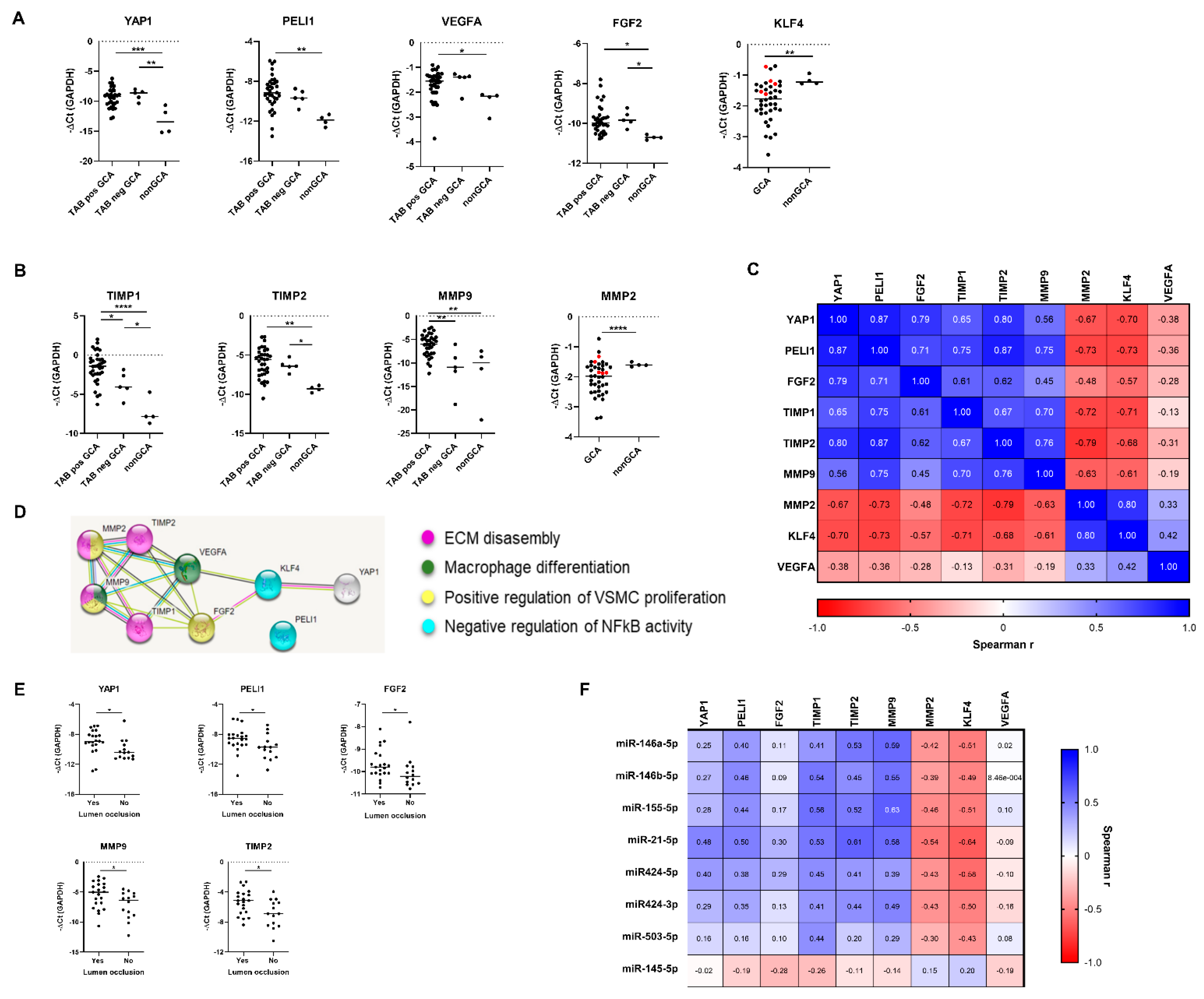 Ijms 22 06520 g002 Ijms 22 06520 g002