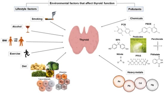 how does vitamin d effect thyroid