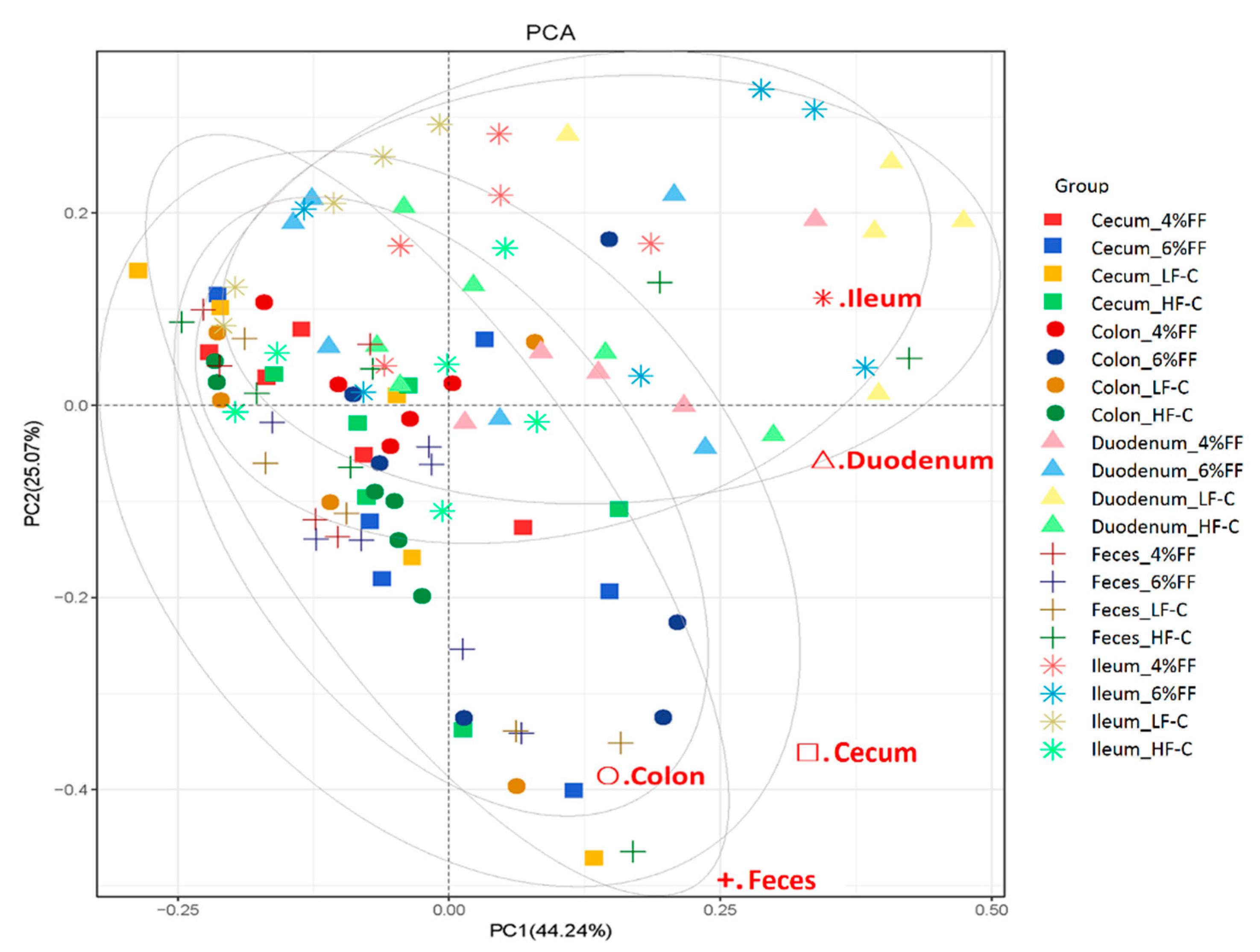 Ijms 22 06525 g003 Ijms 22 06525 g003