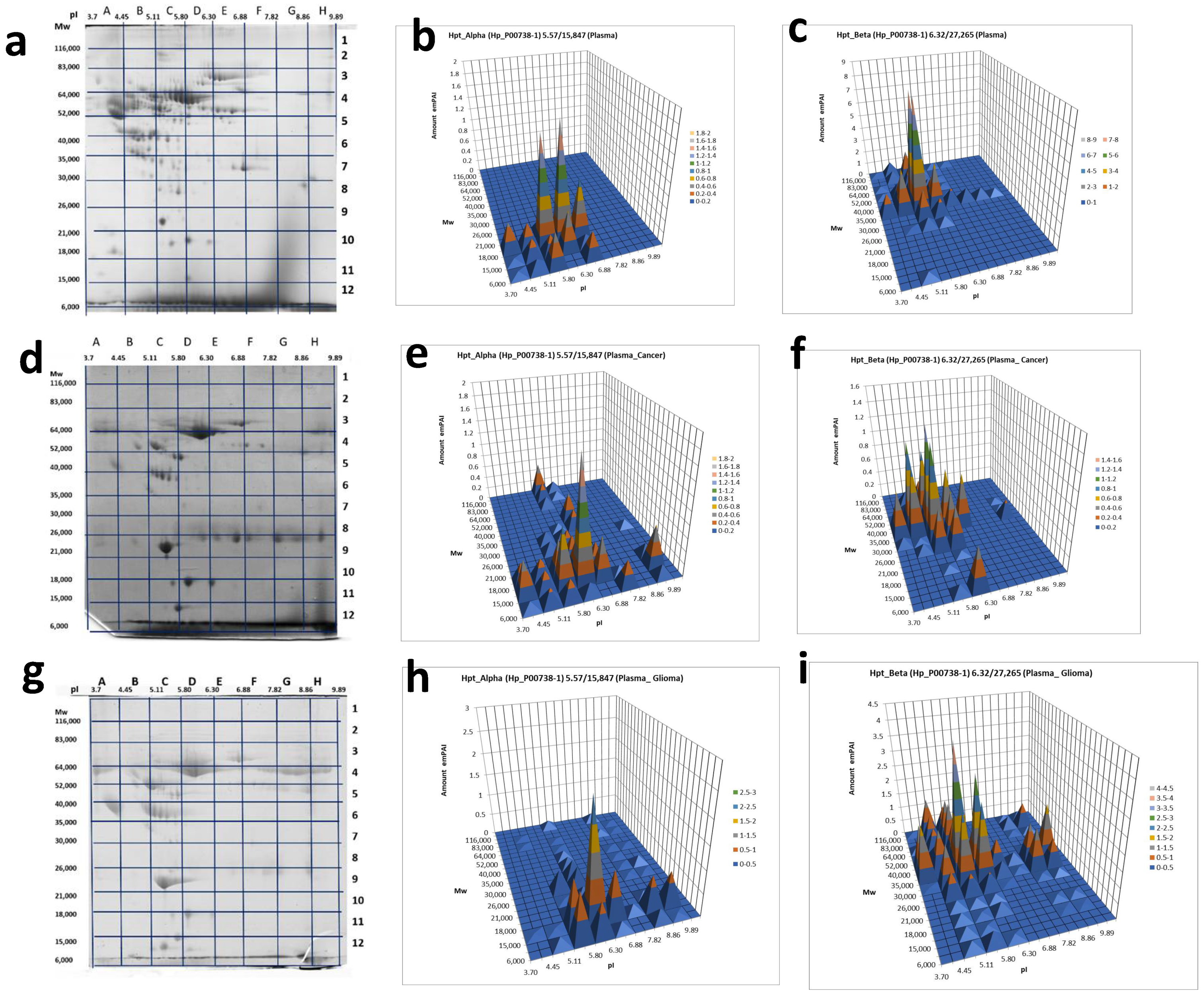 Ijms 22 06533 g005 Ijms 22 06533 g005