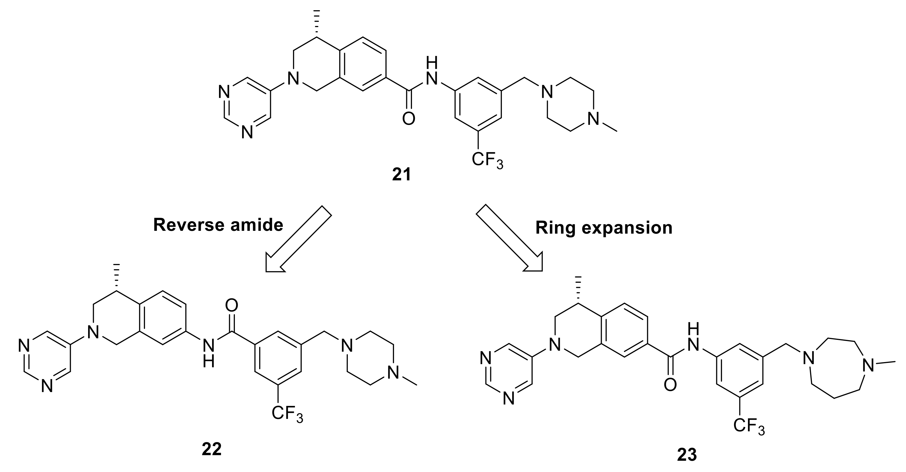 Ijms 22 06535 g007 Ijms 22 06535 g007