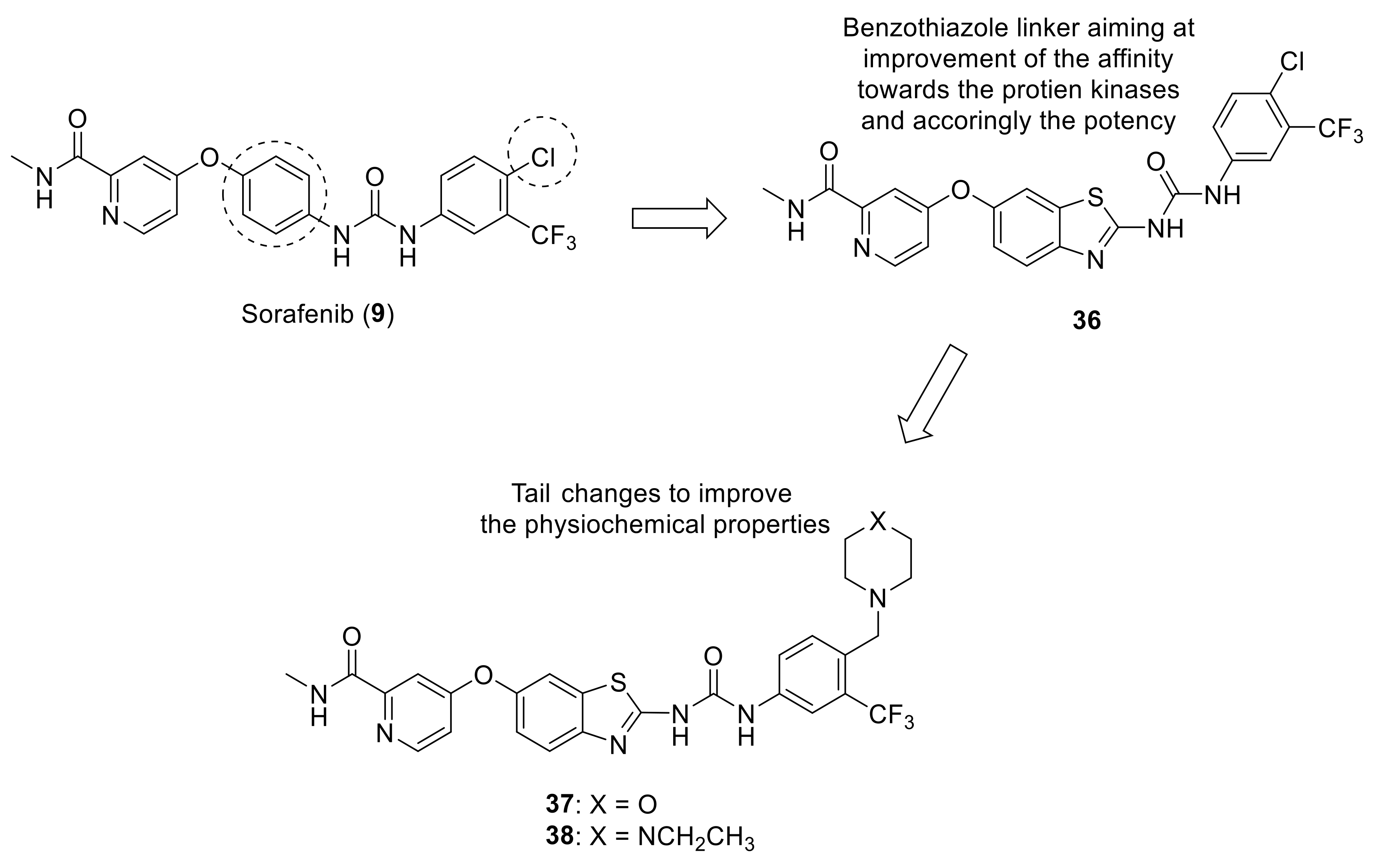Ijms 22 06535 g014 Ijms 22 06535 g014