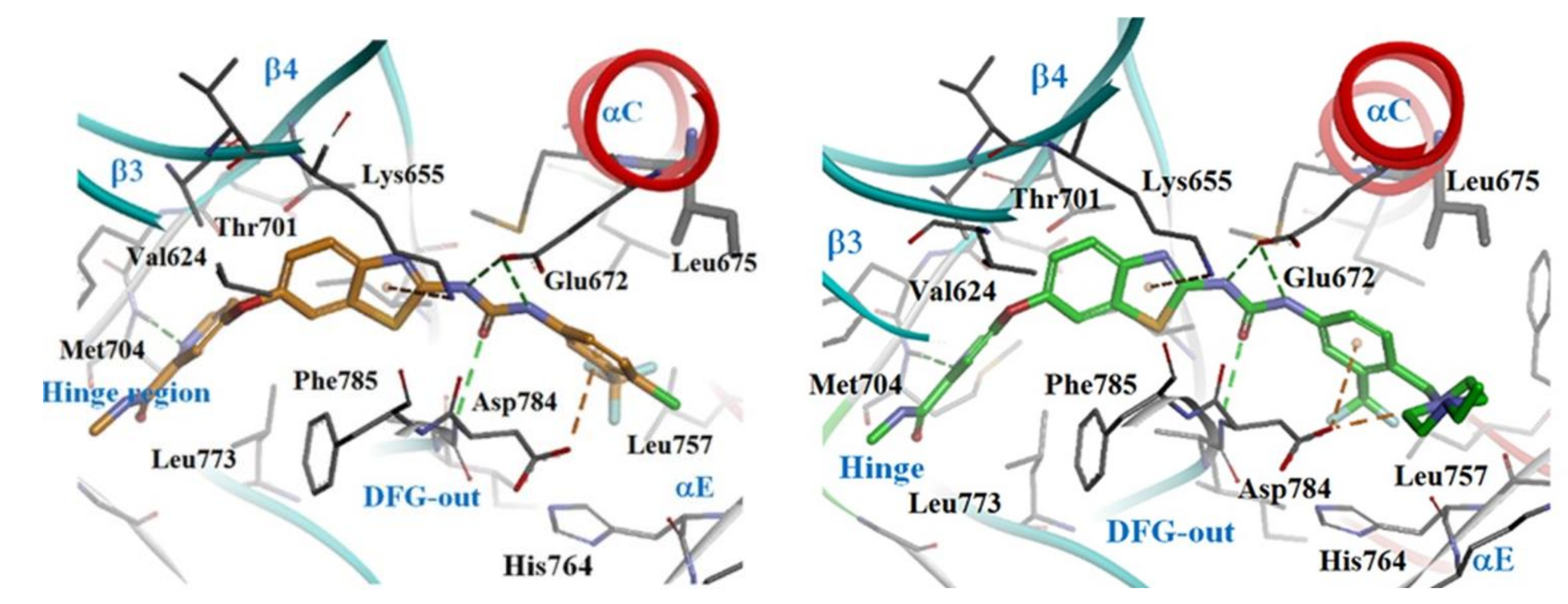 Ijms 22 06535 g015 Ijms 22 06535 g015