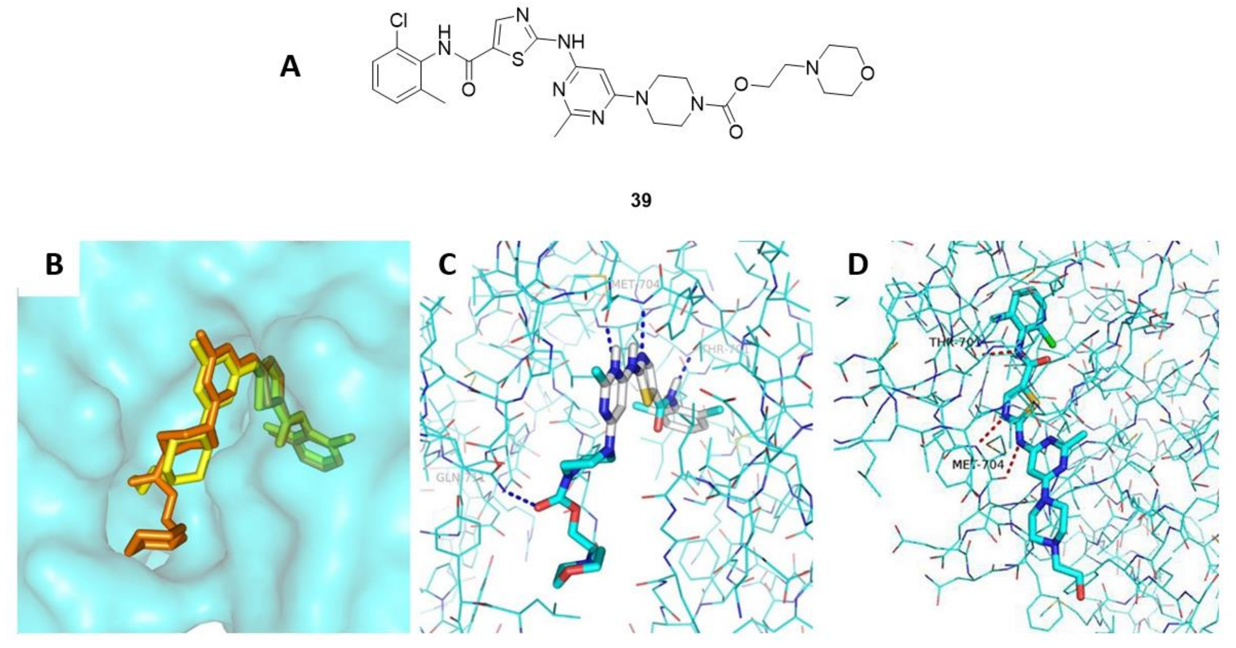 Ijms 22 06535 g016 Ijms 22 06535 g016