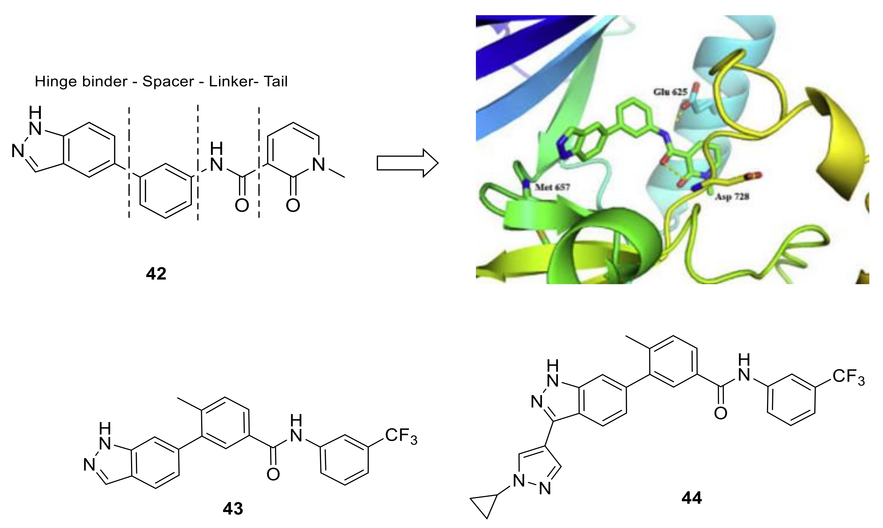 Ijms 22 06535 g018 Ijms 22 06535 g018