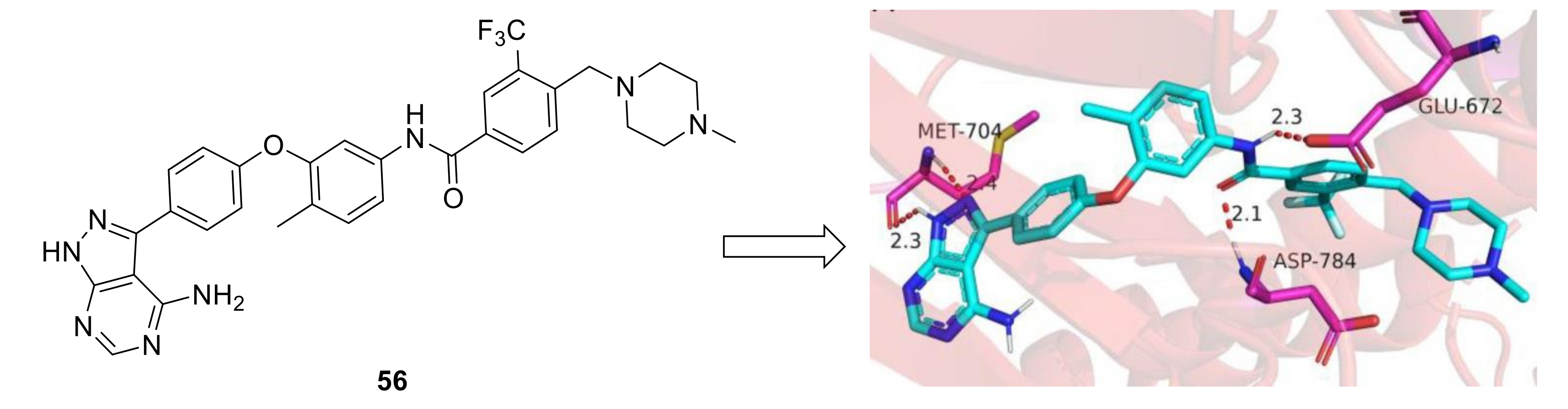 Ijms 22 06535 g024 Ijms 22 06535 g024