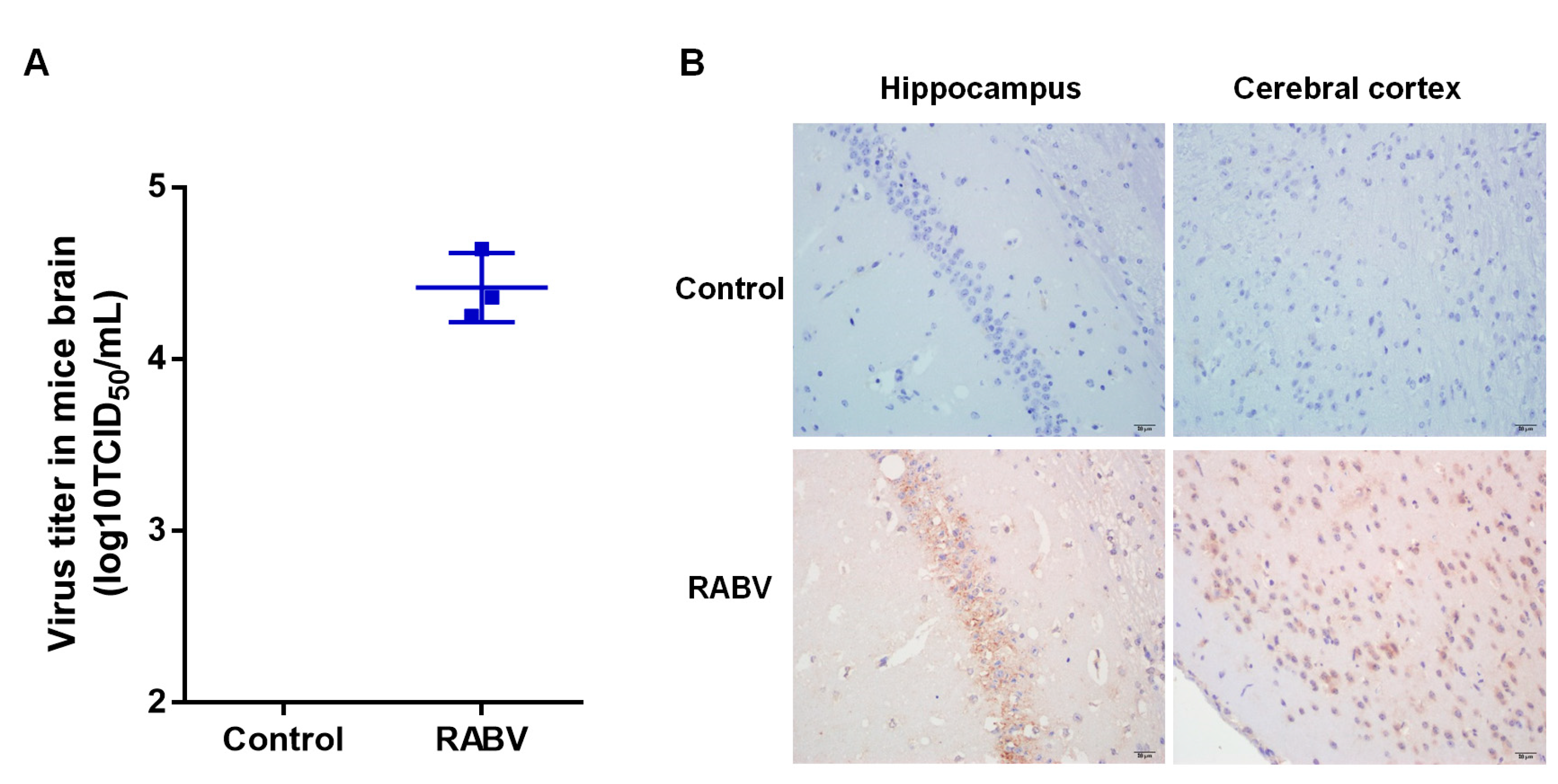 Ijms 22 06537 g001 Ijms 22 06537 g001