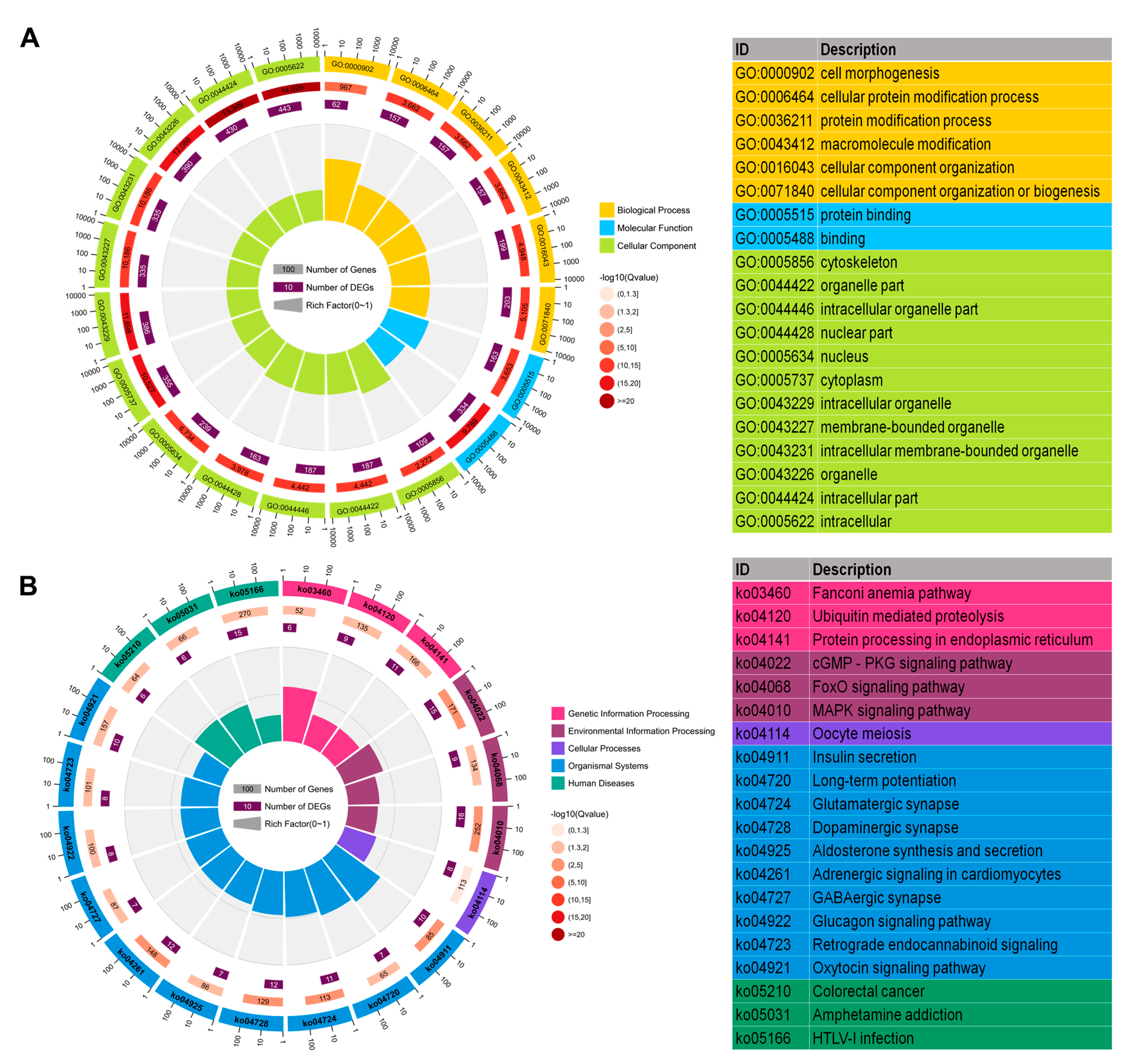 Ijms 22 06537 g005 Ijms 22 06537 g005