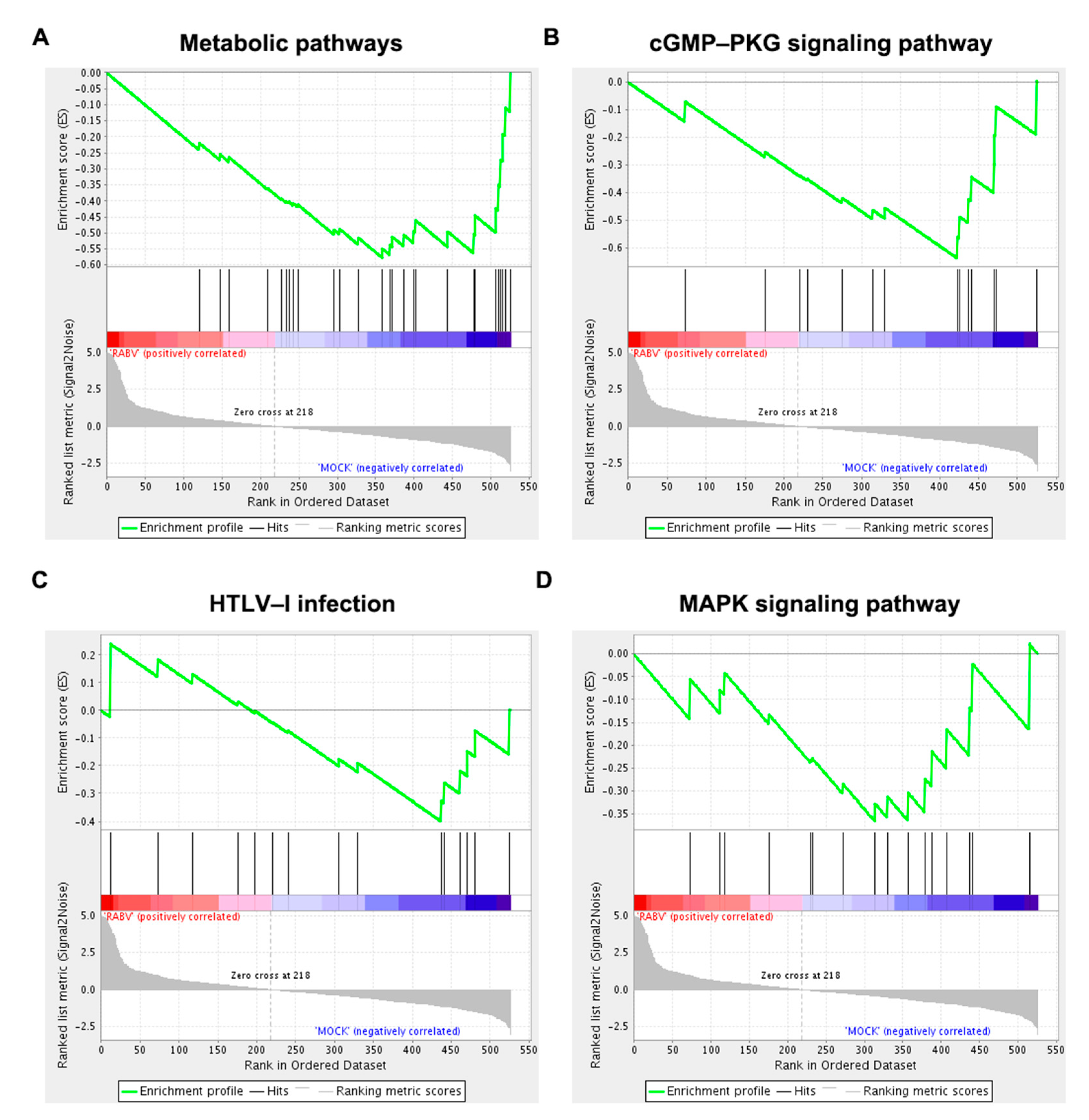 Ijms 22 06537 g006 Ijms 22 06537 g006