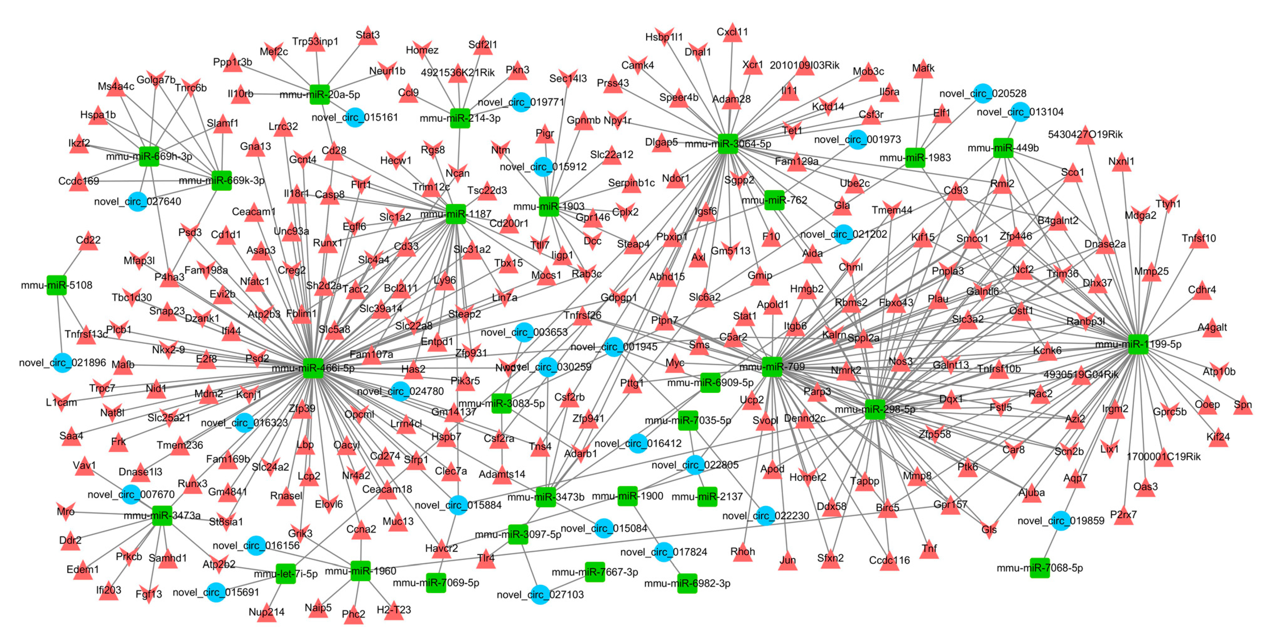 Ijms 22 06537 g007 Ijms 22 06537 g007