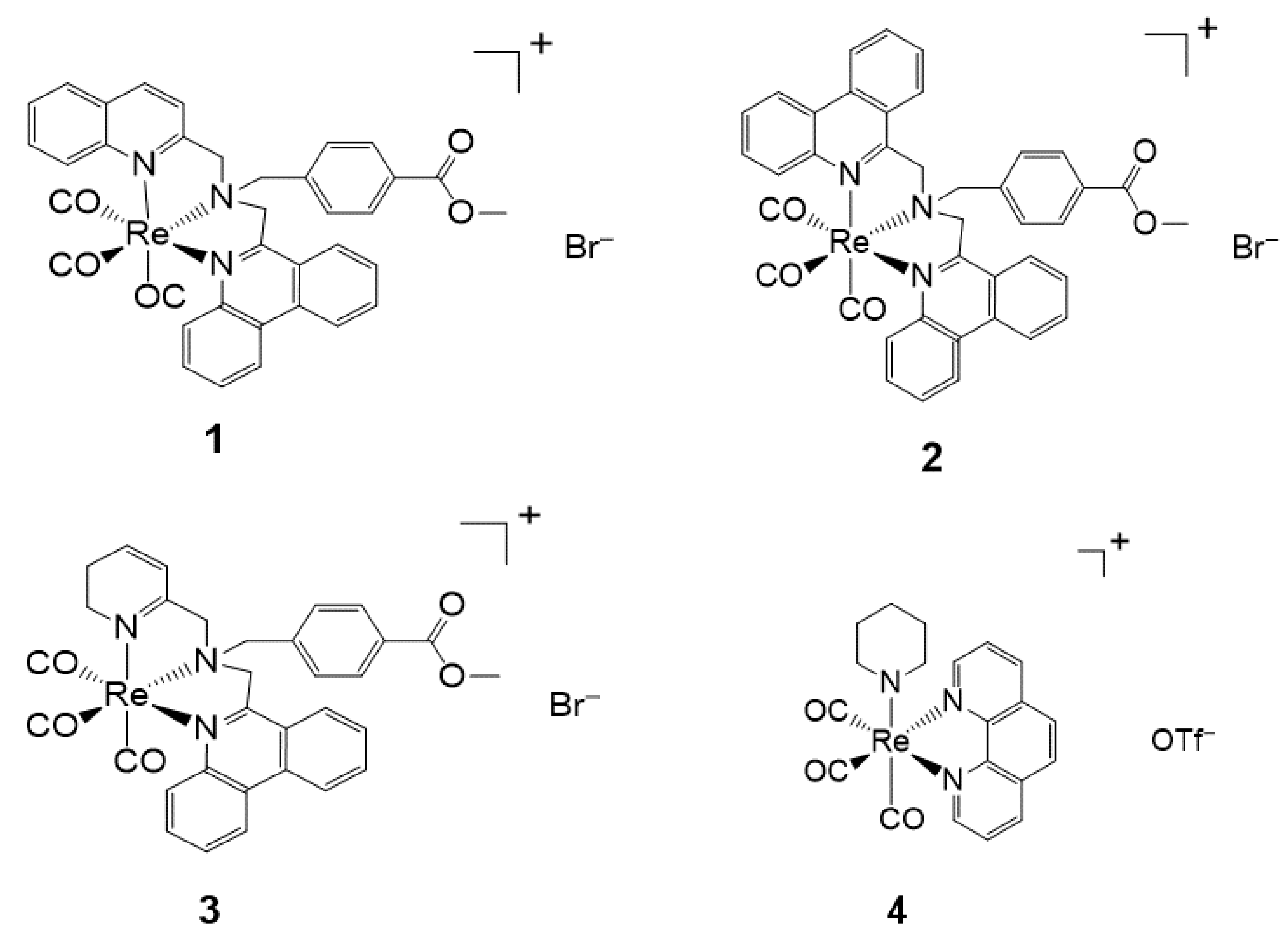 Ijms 22 06546 g003a Ijms 22 06546 g003a