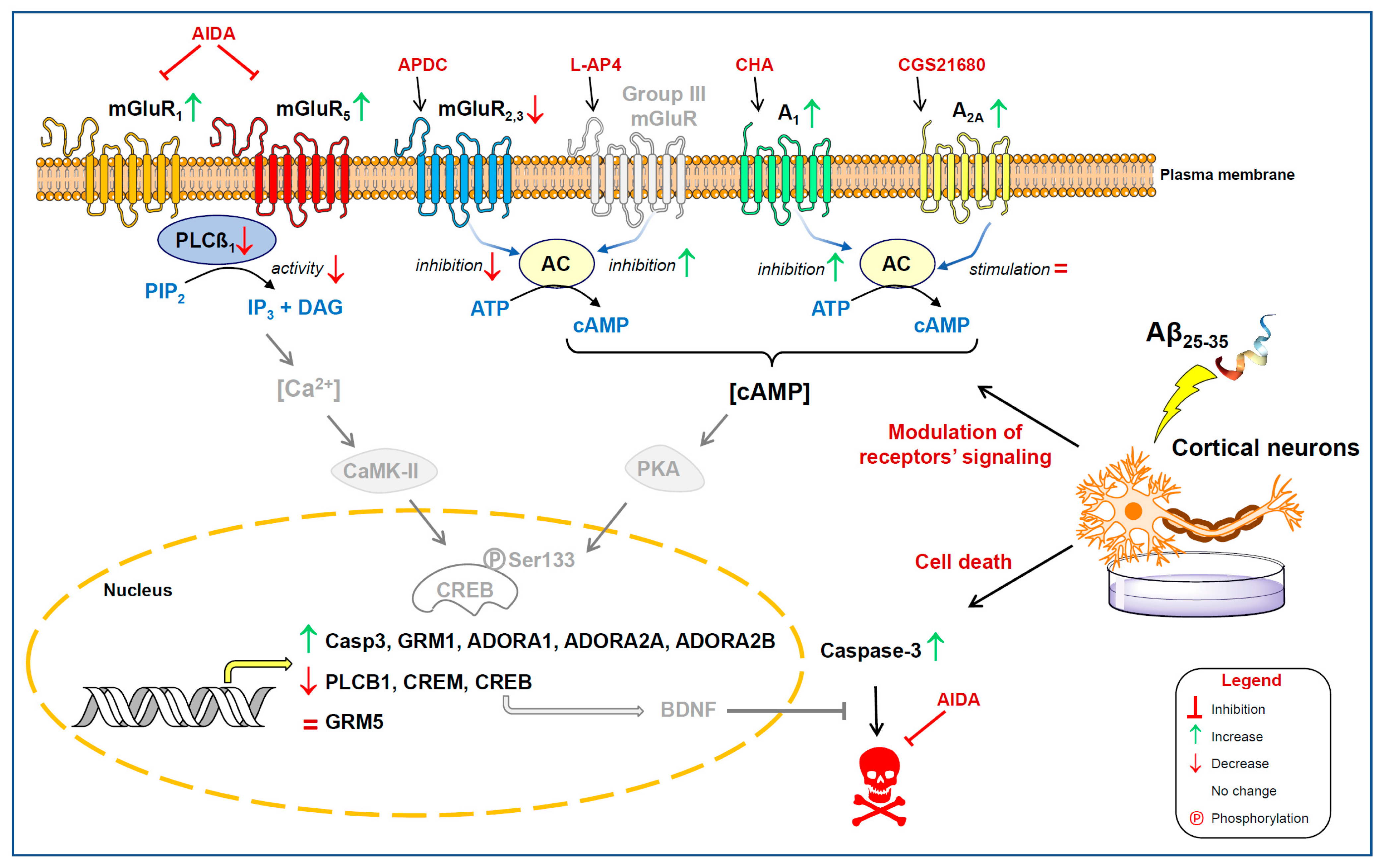 Ijms 22 06577 sch001