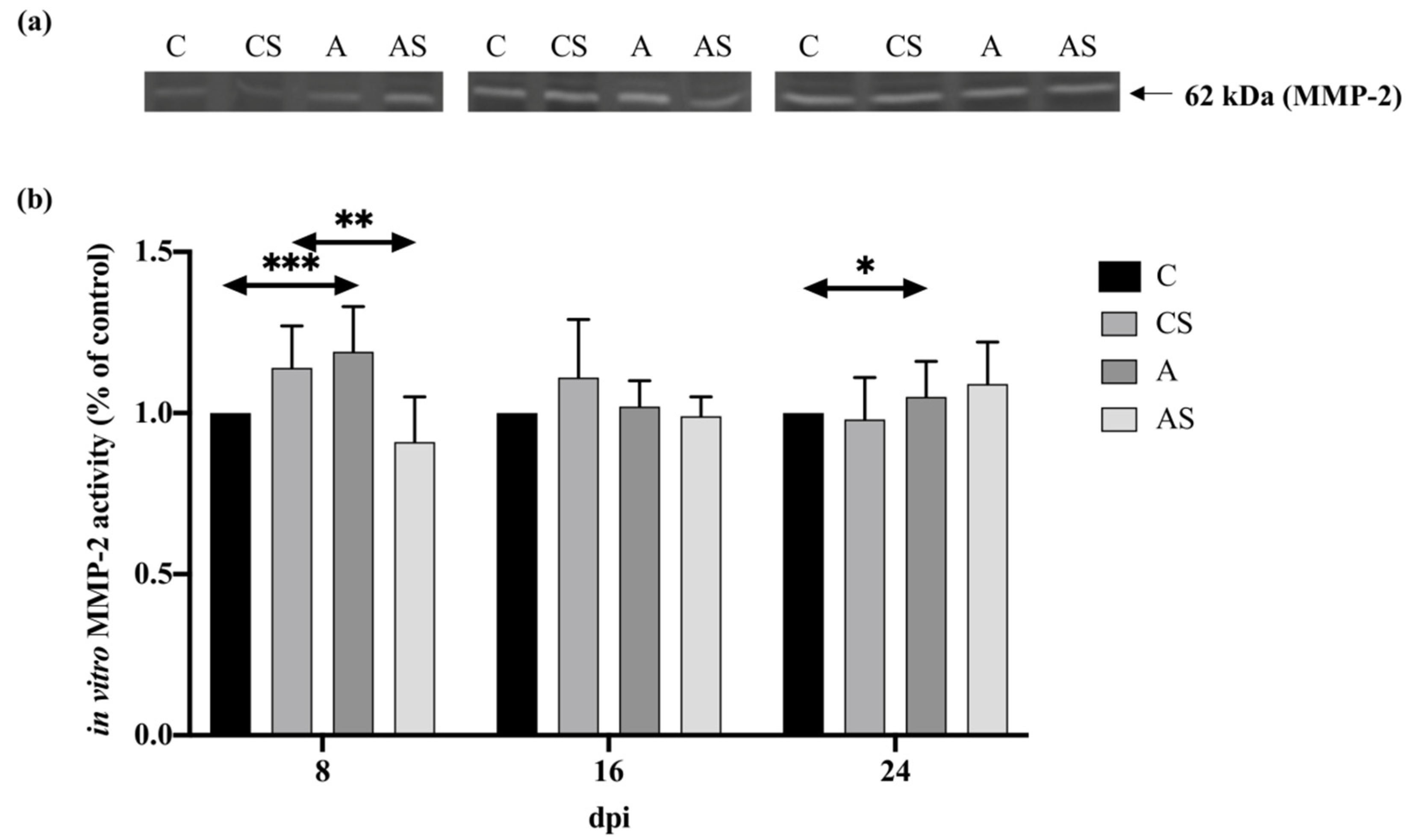 Ijms 22 06583 g004 Ijms 22 06583 g004
