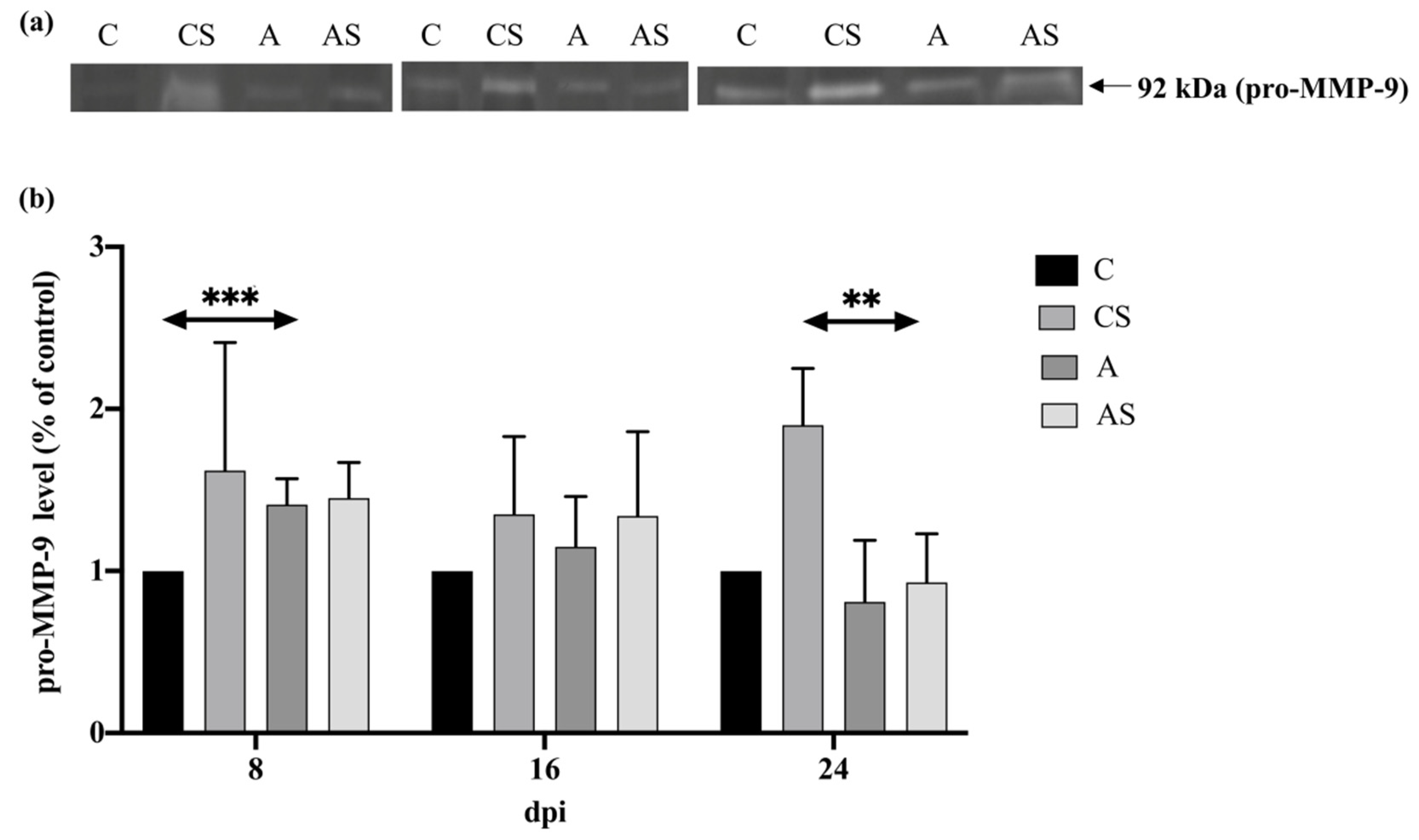 Ijms 22 06583 g005 Ijms 22 06583 g005