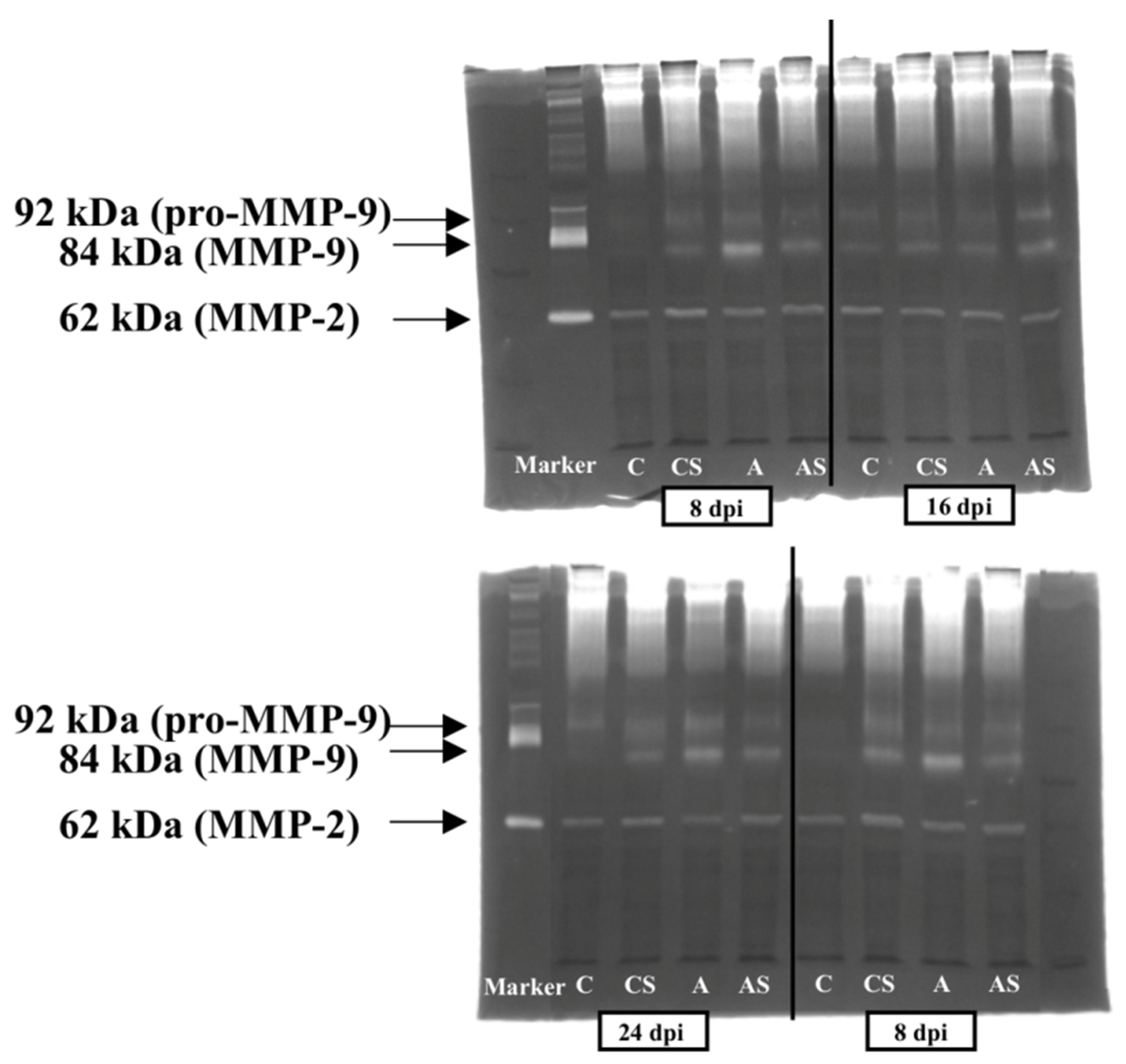 Ijms 22 06583 g0a1 Ijms 22 06583 g0a1