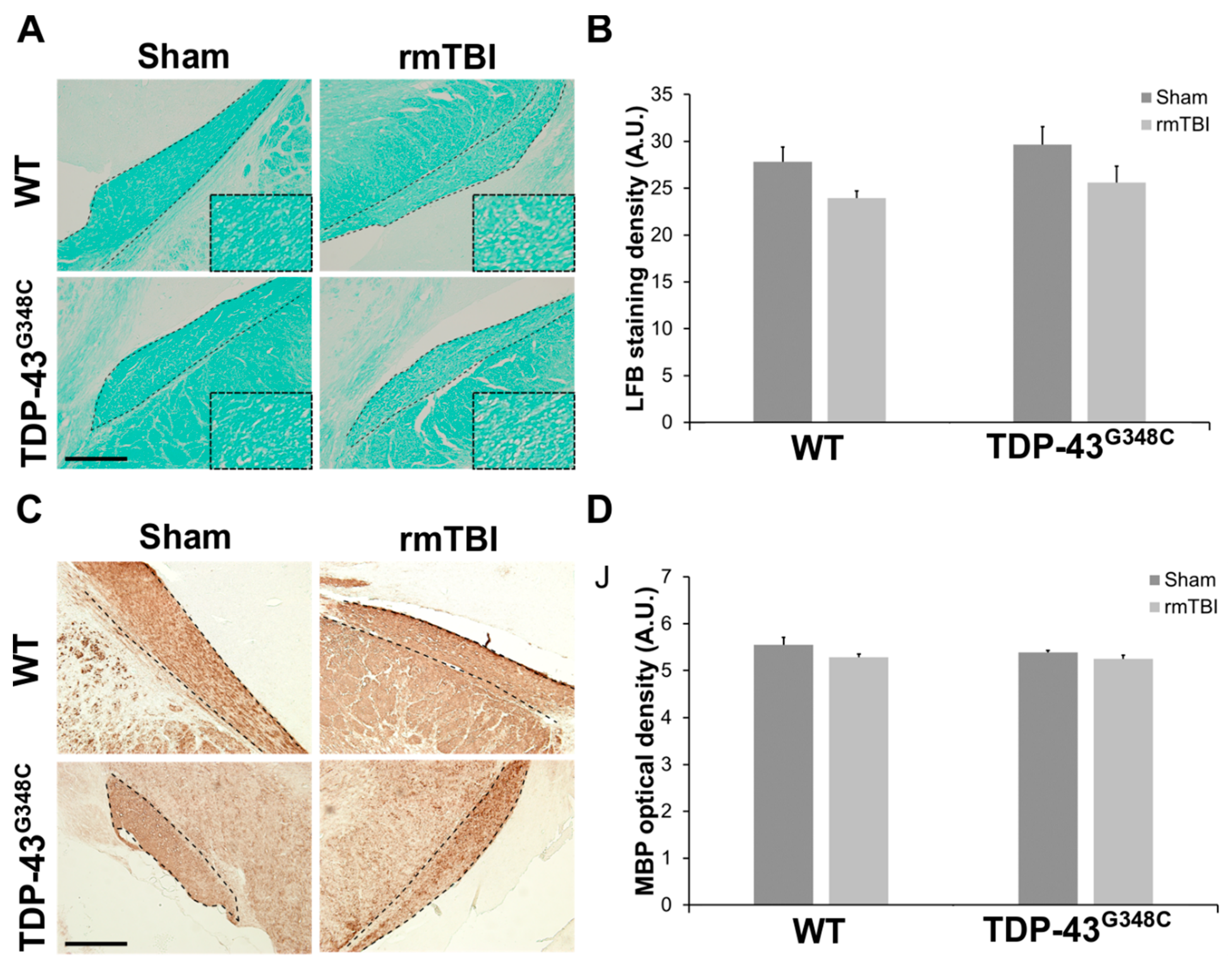 Ijms 22 06584 g003 Ijms 22 06584 g003