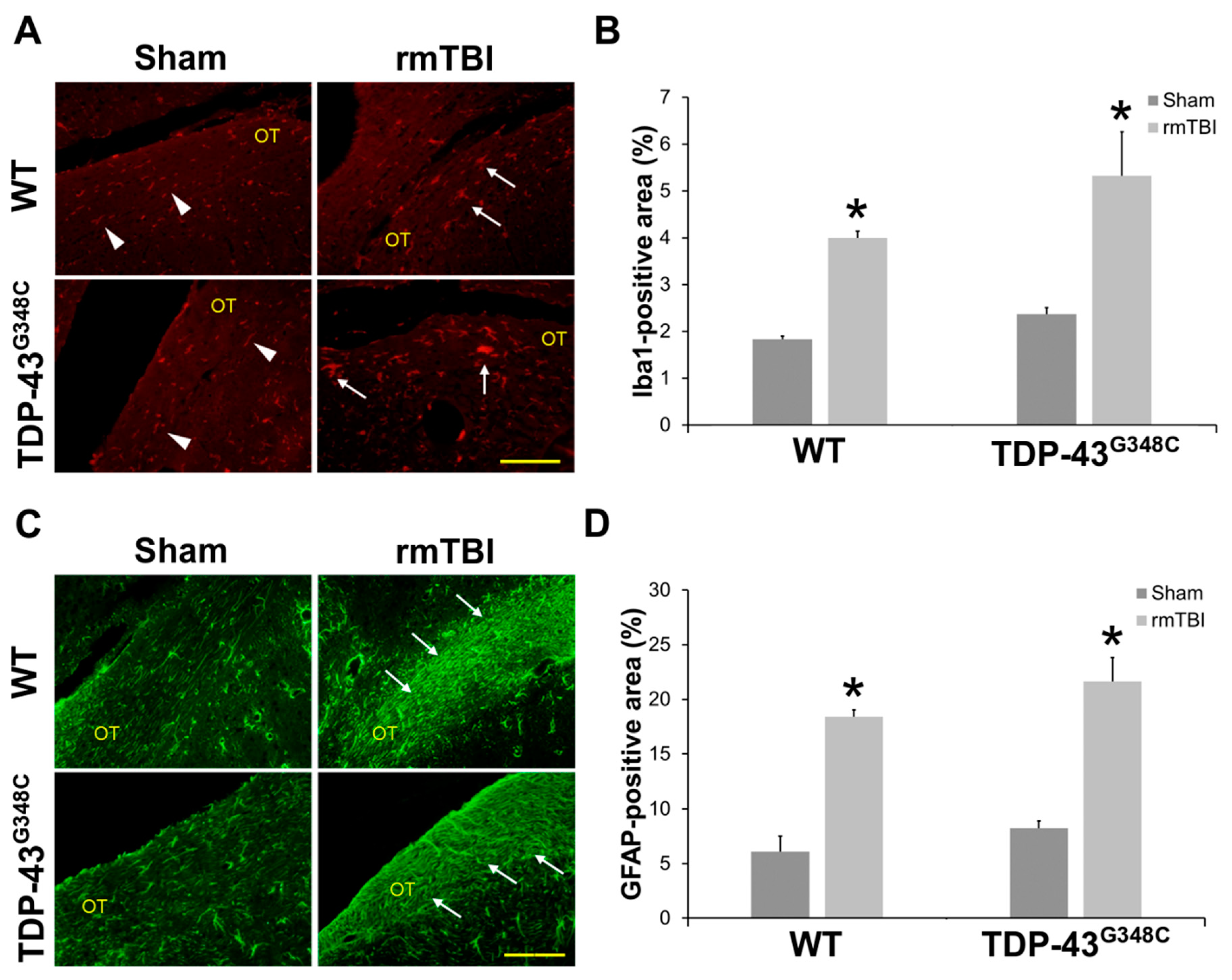 Ijms 22 06584 g005 Ijms 22 06584 g005