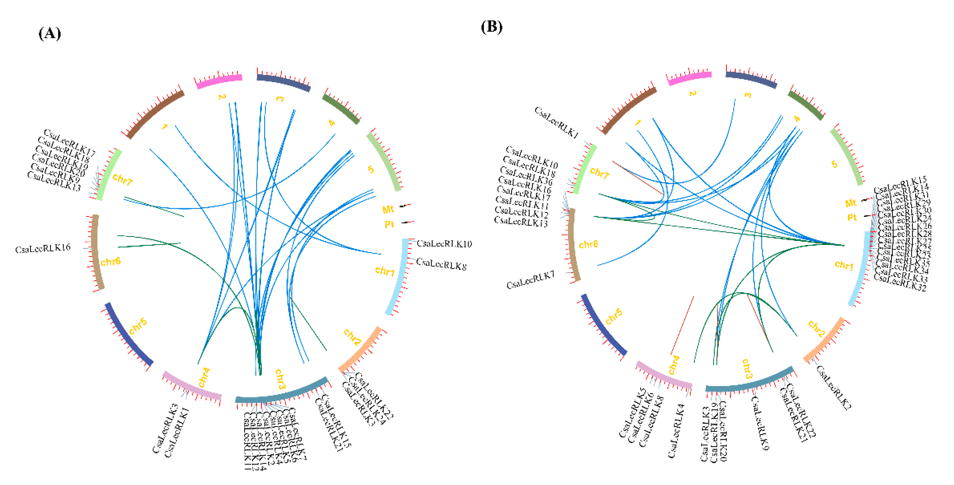 Ijms 22 06585 g003 Ijms 22 06585 g003