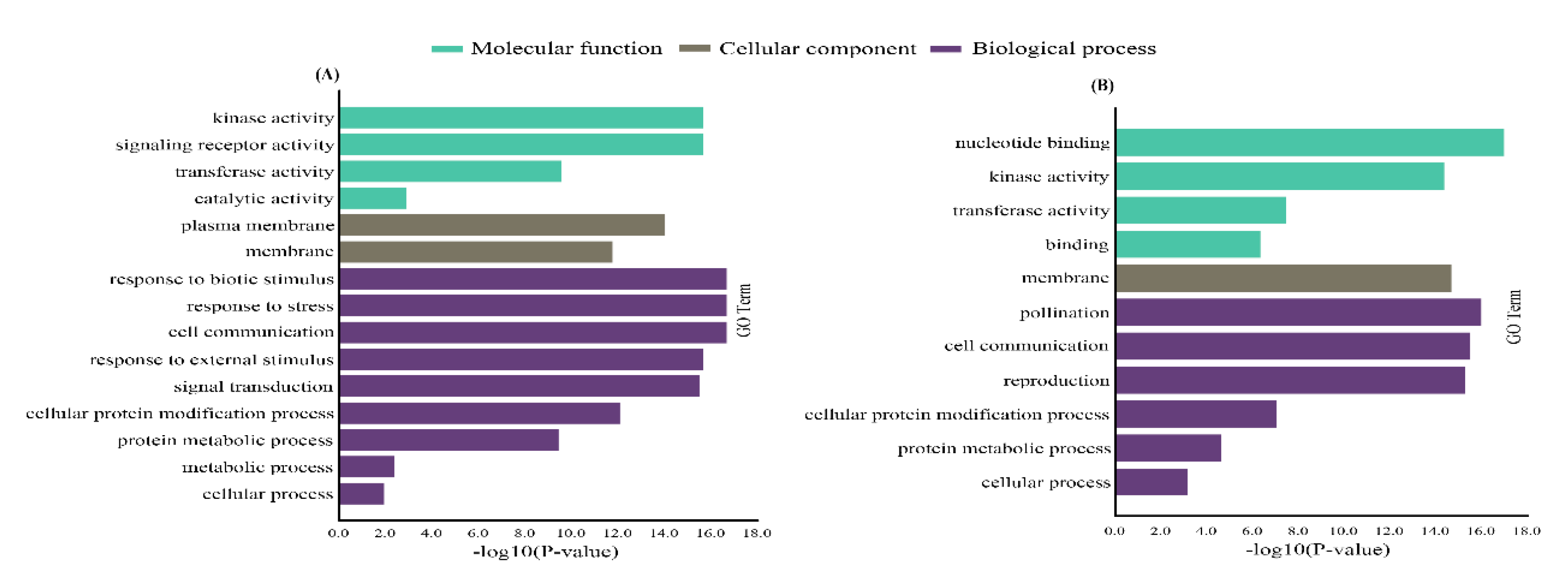 Ijms 22 06585 g004 Ijms 22 06585 g004