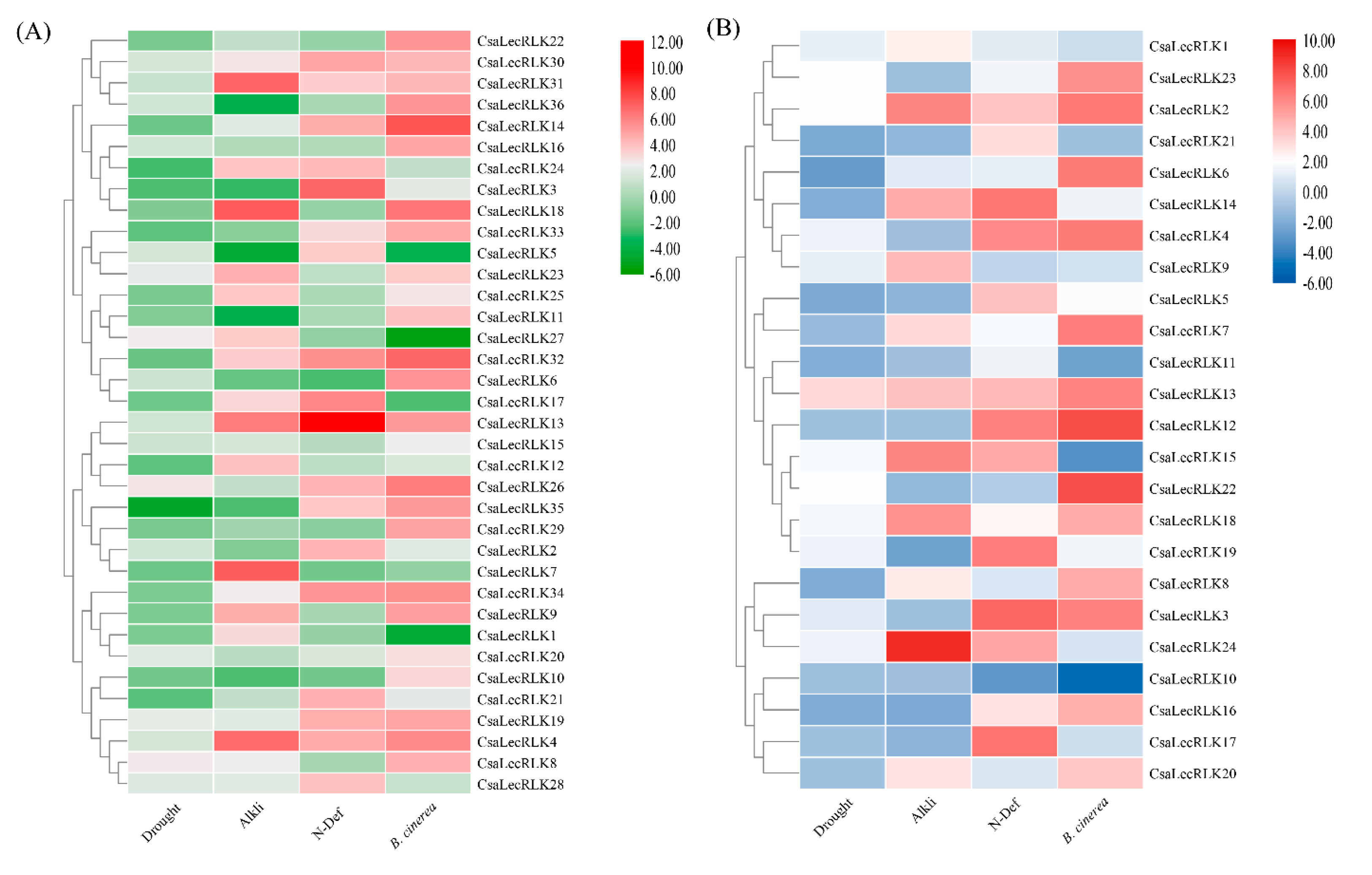 Ijms 22 06585 g007 Ijms 22 06585 g007