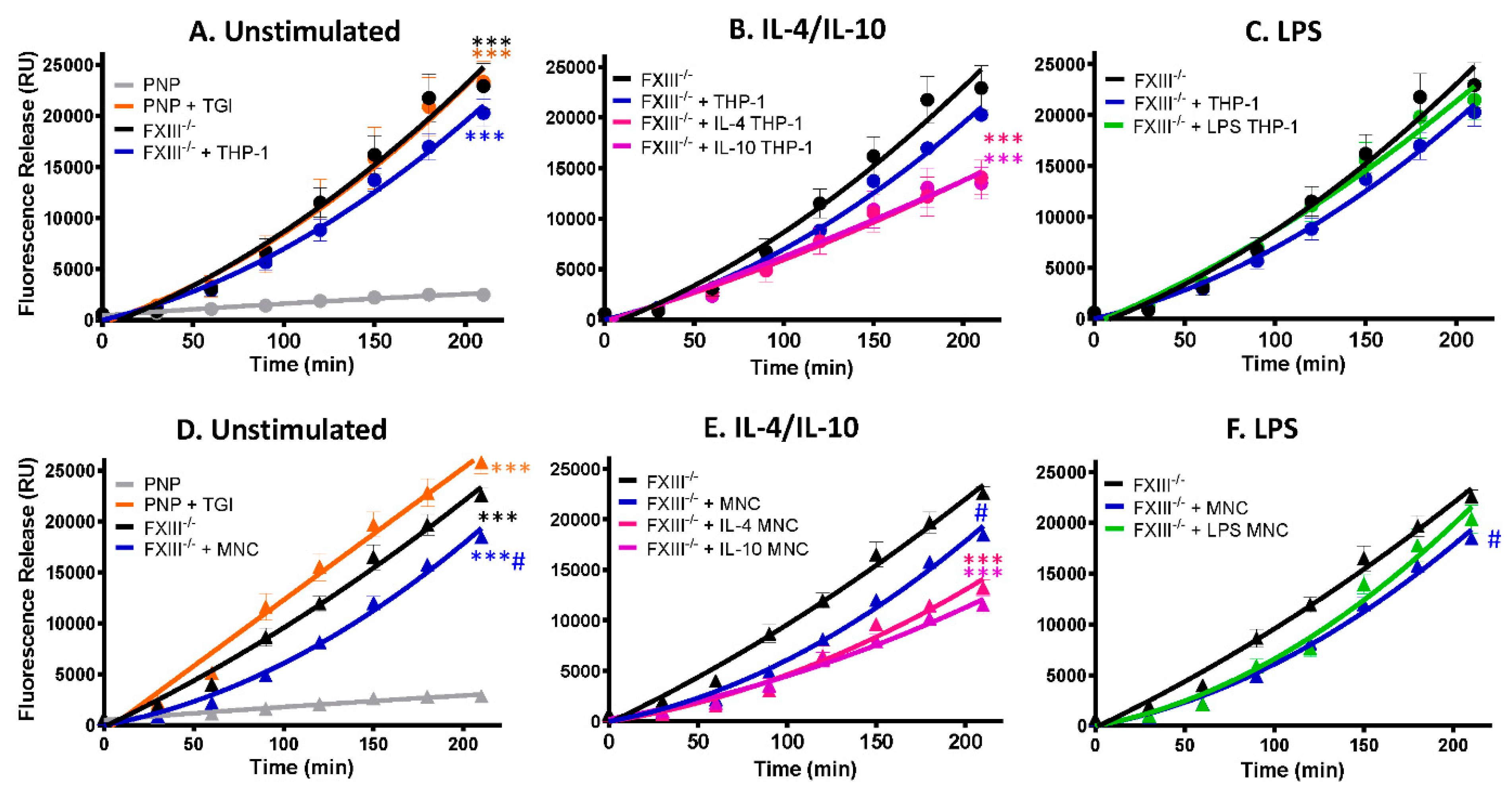 Ijms 22 06591 g005 Ijms 22 06591 g005