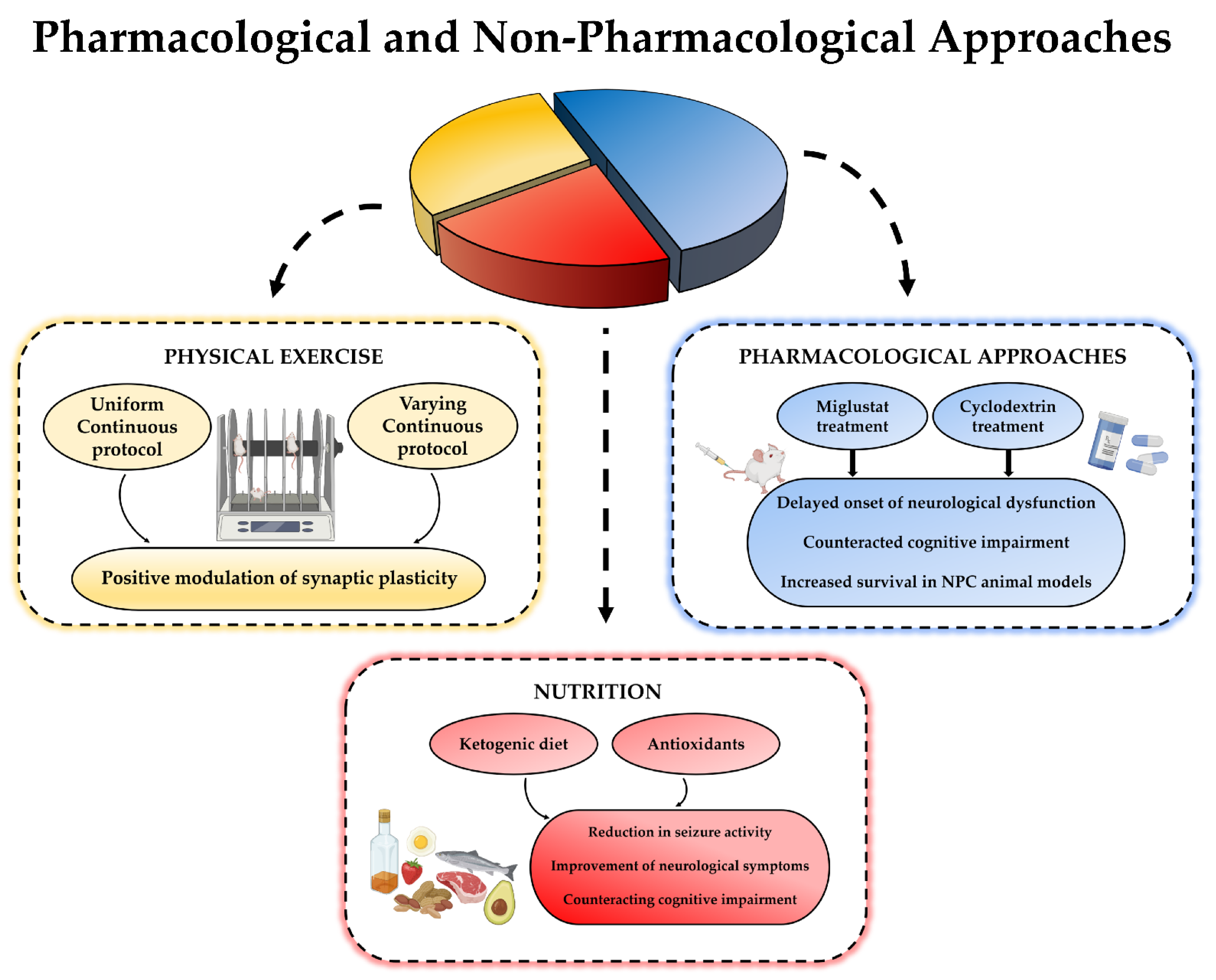 Niemann Pick Disease Type C - Symptoms, Causes, Treatment