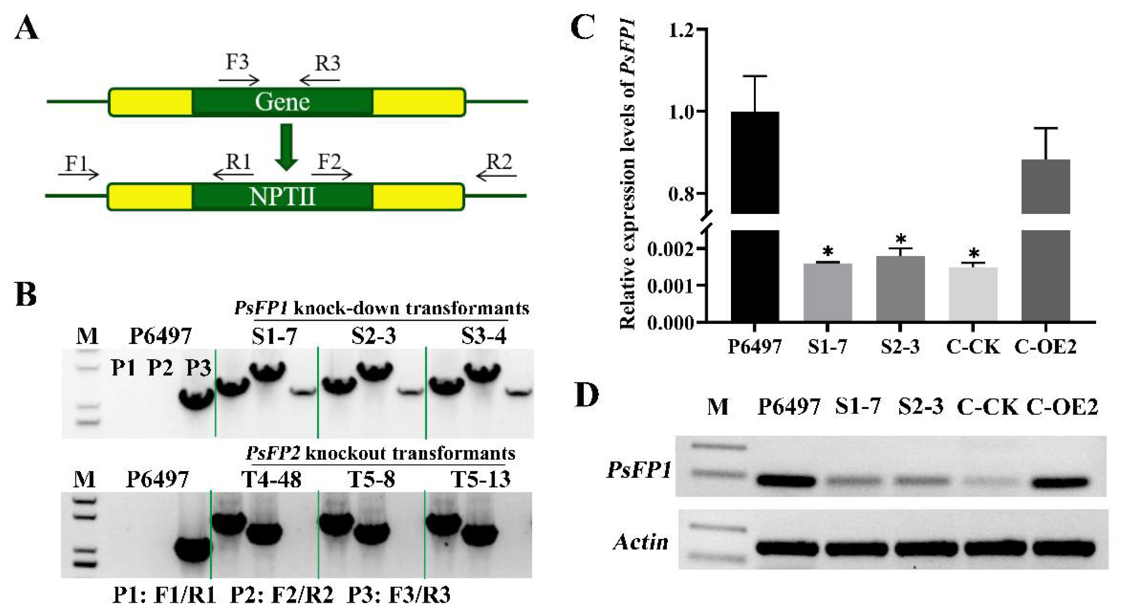 Ijms 22 06601 g003 Ijms 22 06601 g003